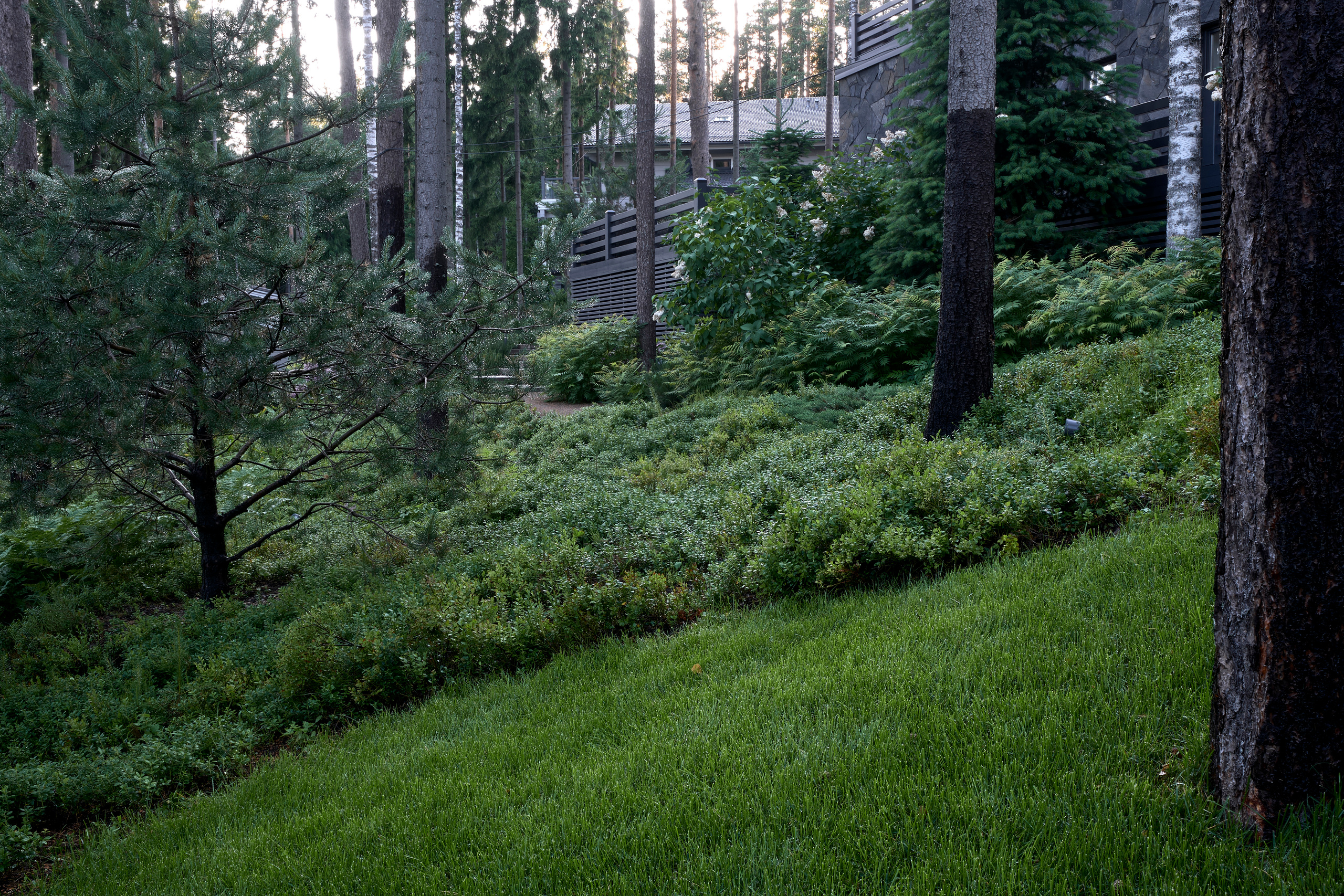 Ландшафтный и интерьерный фотограф Наталья Соловьева. Фотосъемка сада Hugel для ландшафтной студии lburo | interioto