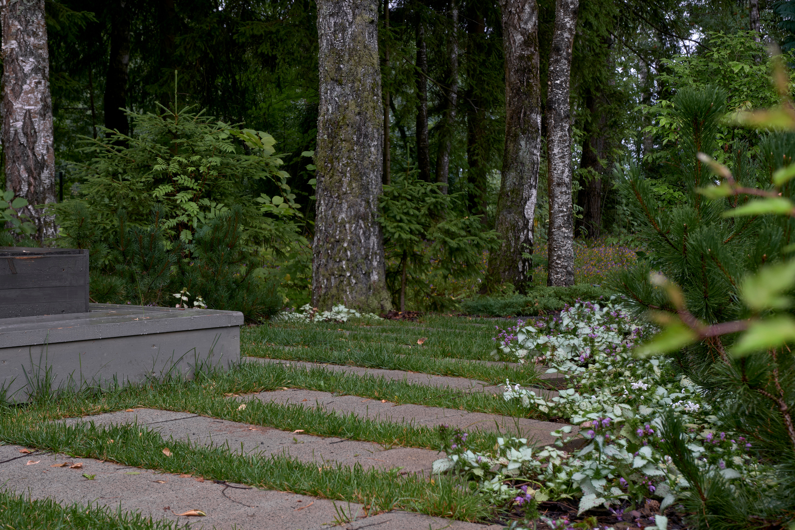 Ландшафтный и интерьерный фотограф Наталья Соловьева. Фотосъемка проекта сада Haus im wald для ландшафтной студии lburo | interioto