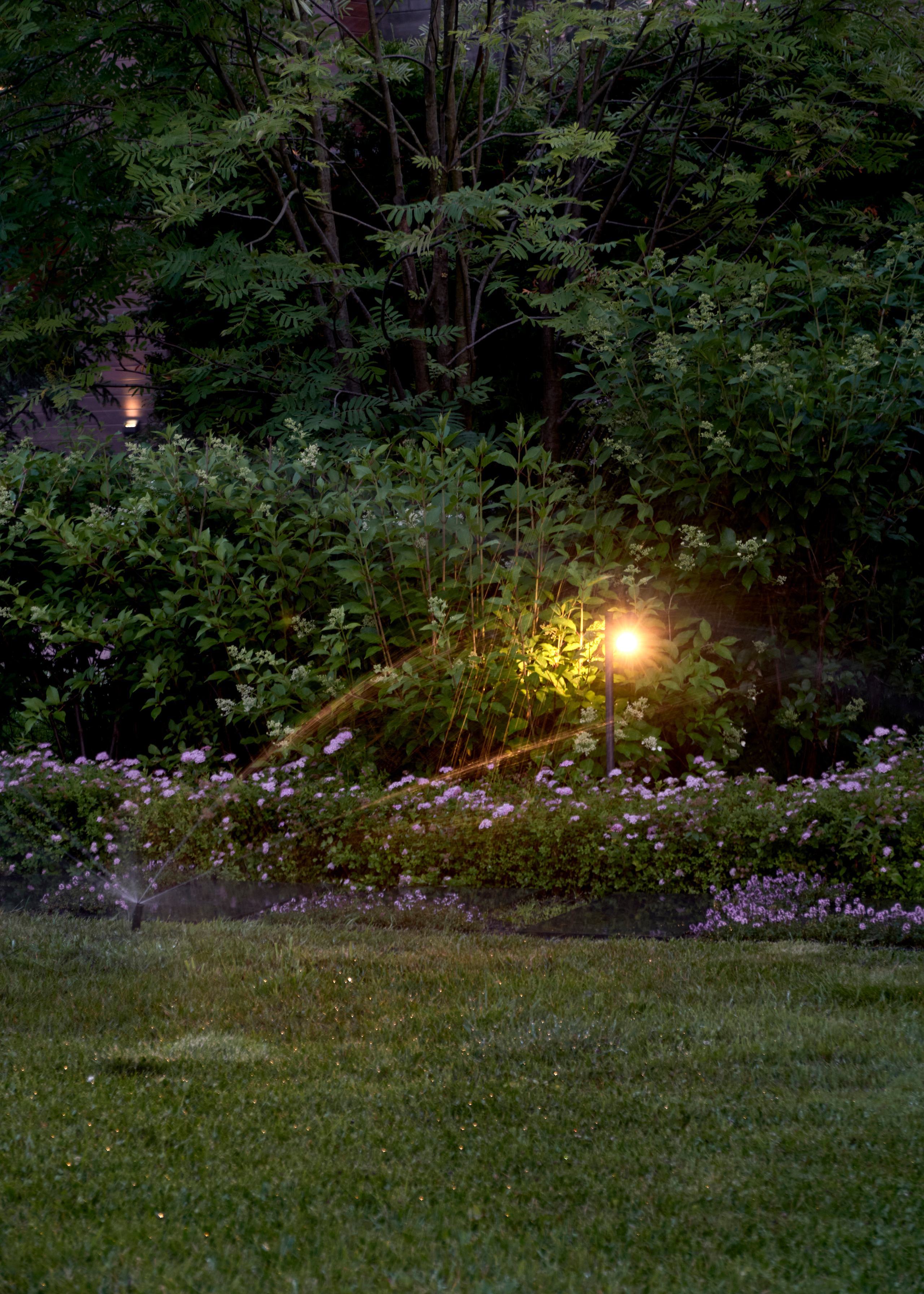 Ландшафтный и интерьерный фотограф Наталья Соловьева. Фотосъемка проекта Дивный сад для ландшафтной студии L.BURO | interioto