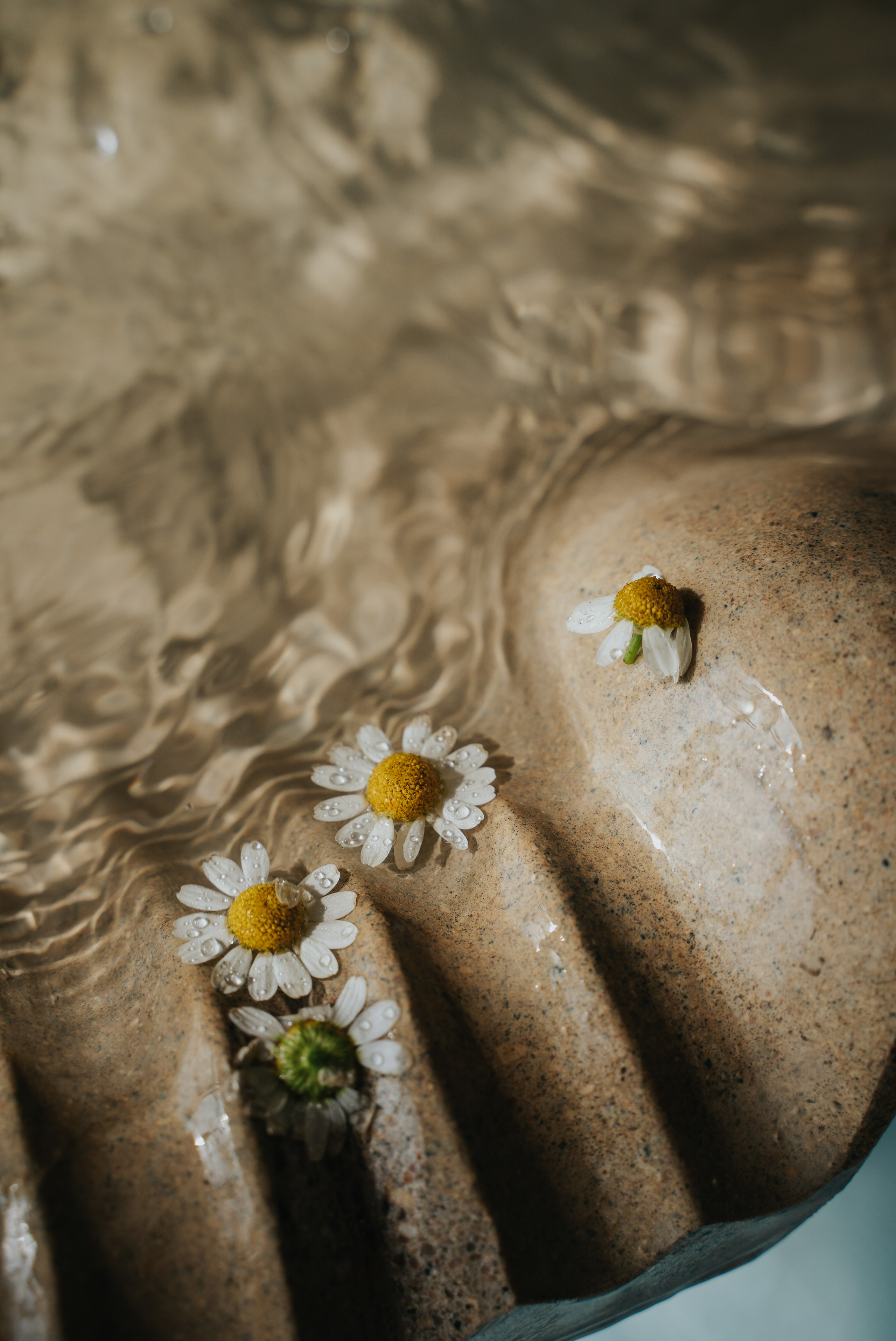 Маленькая Италия. Портретный фотограф в Москве