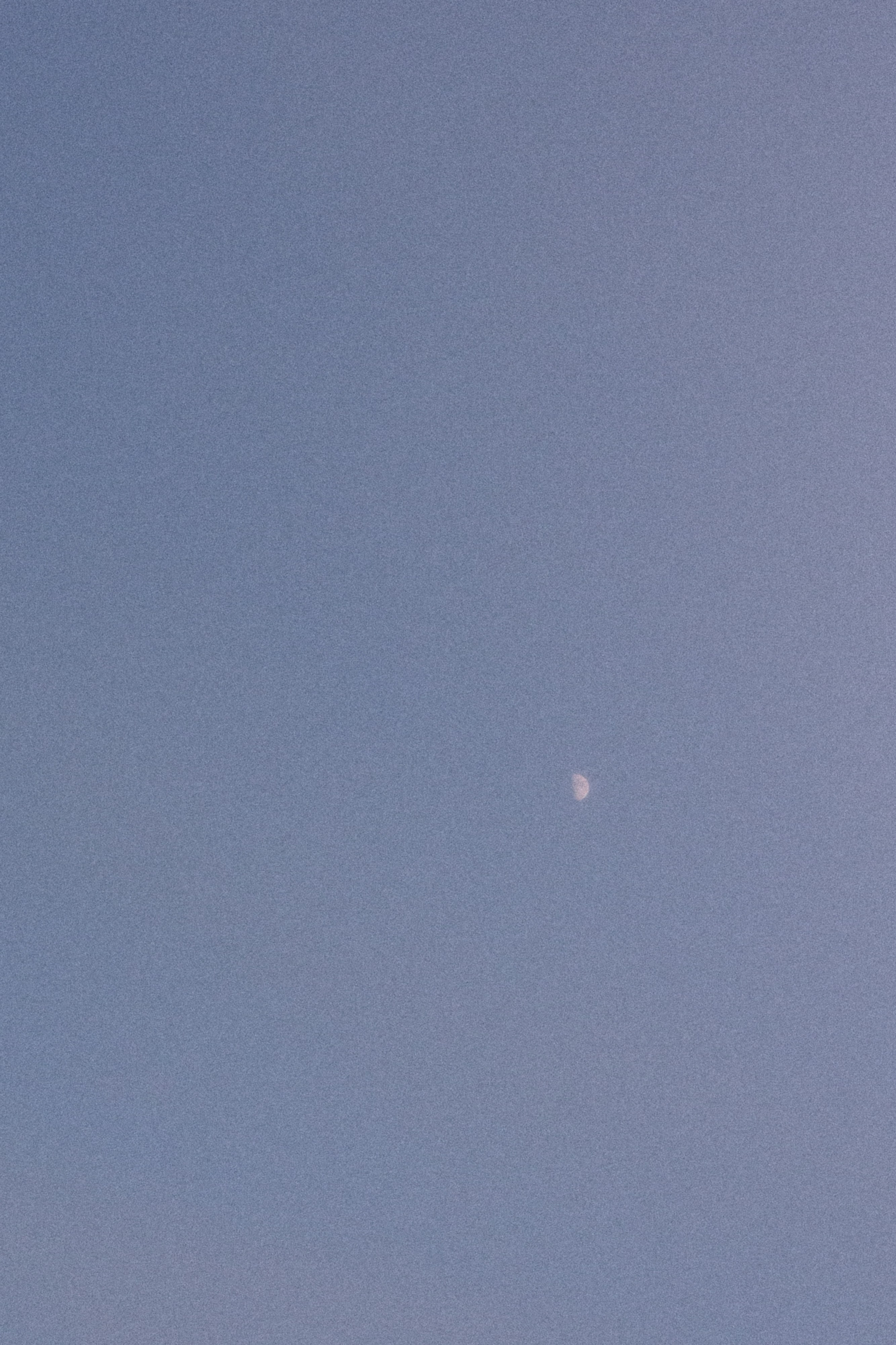 Weddig day Иван и Наталья. Свадебный фотограф Колесников Антон