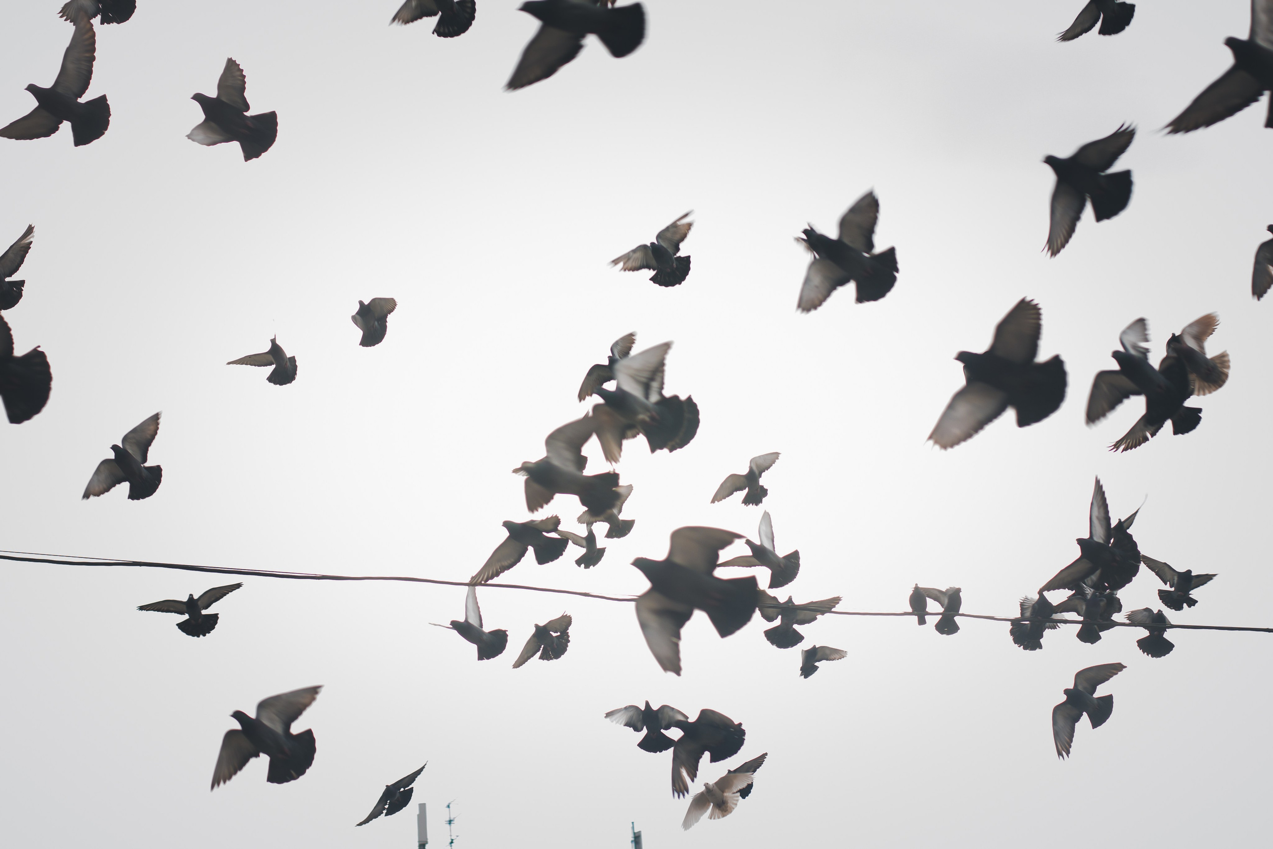 С Сашей на Хохловке. Фотограф Мария Згонник