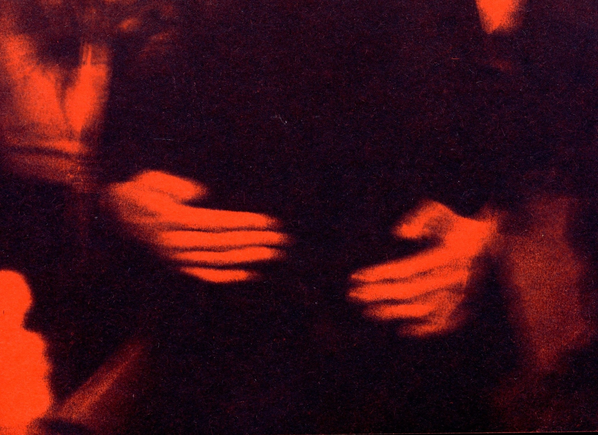 Липкий пол [книга]. Аня белка — художница и фотограф