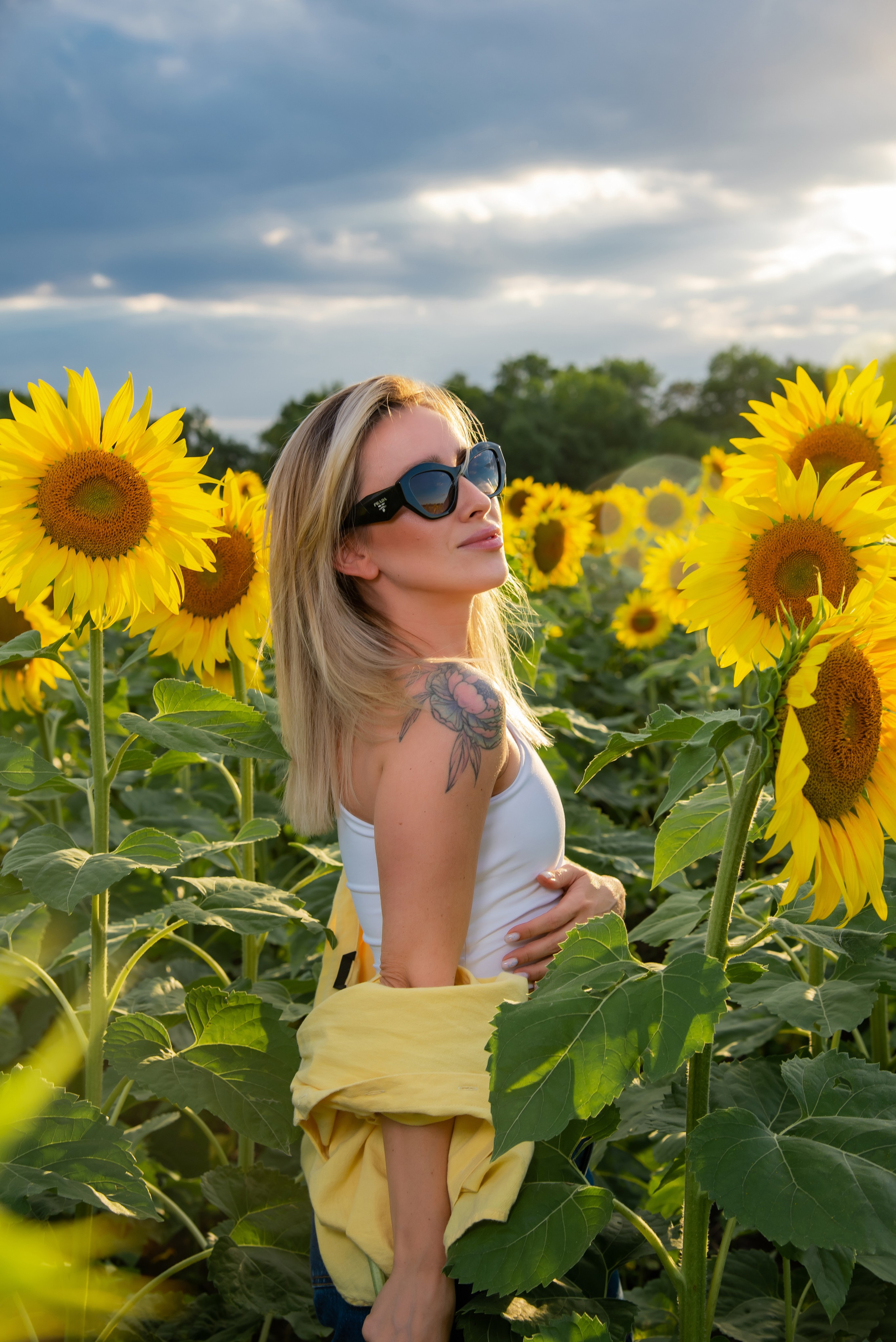 Подсолнух. Фотограф Галина Нестерова