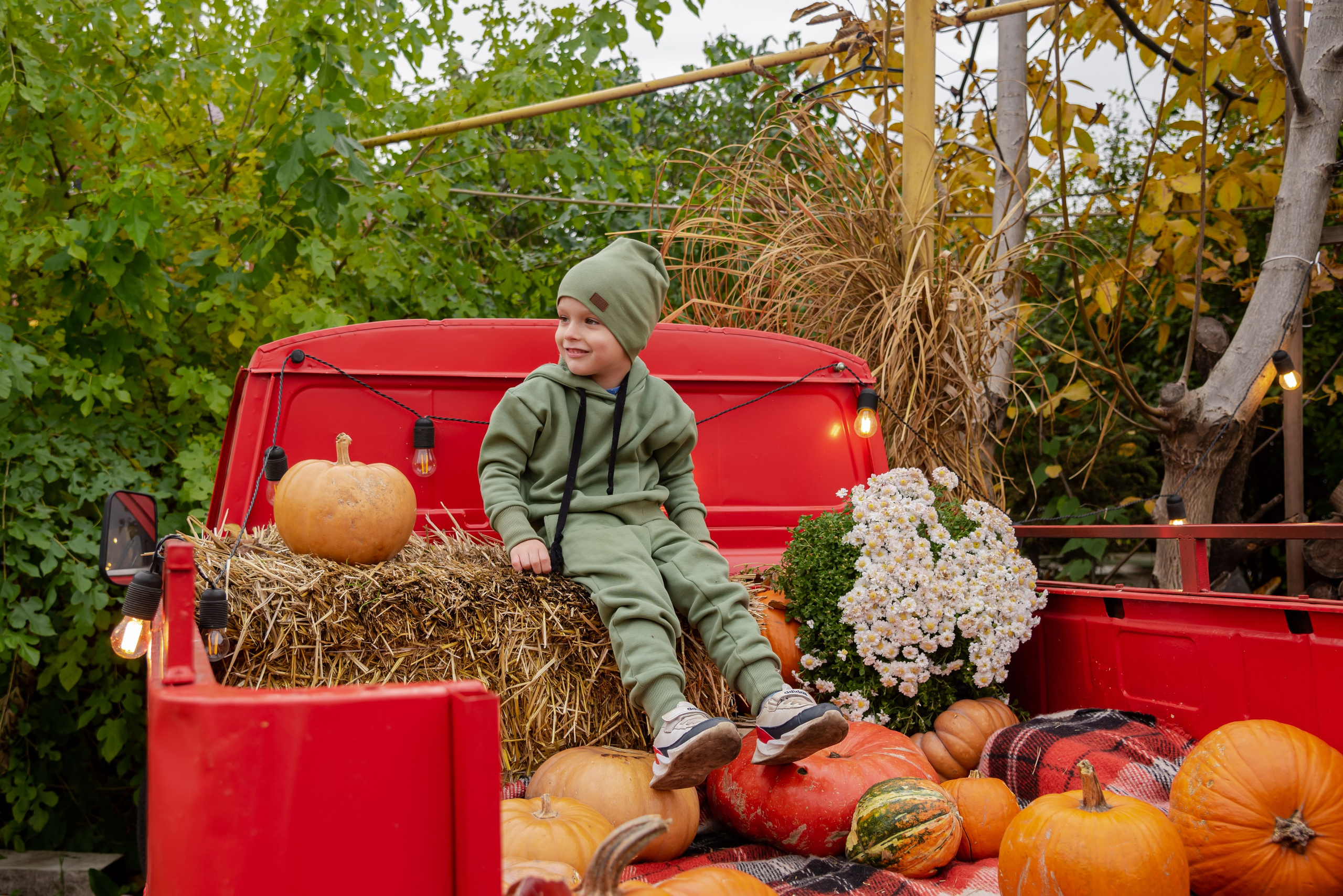 Авакадо. Фотограф Галина Нестерова