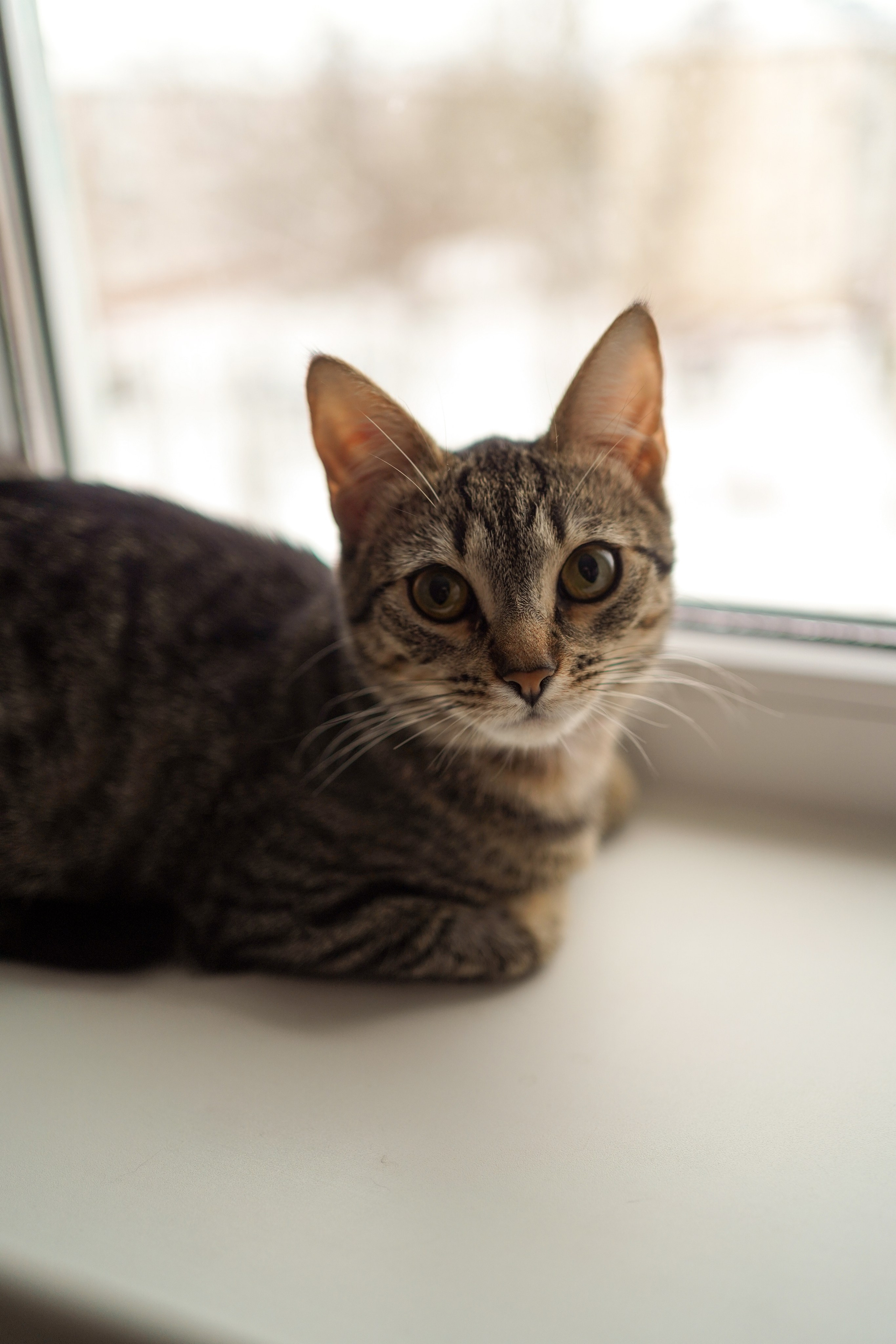 Наташа и Кирюша. Семейный фотограф в Северодвинске и Архангельске Наталья Проничева