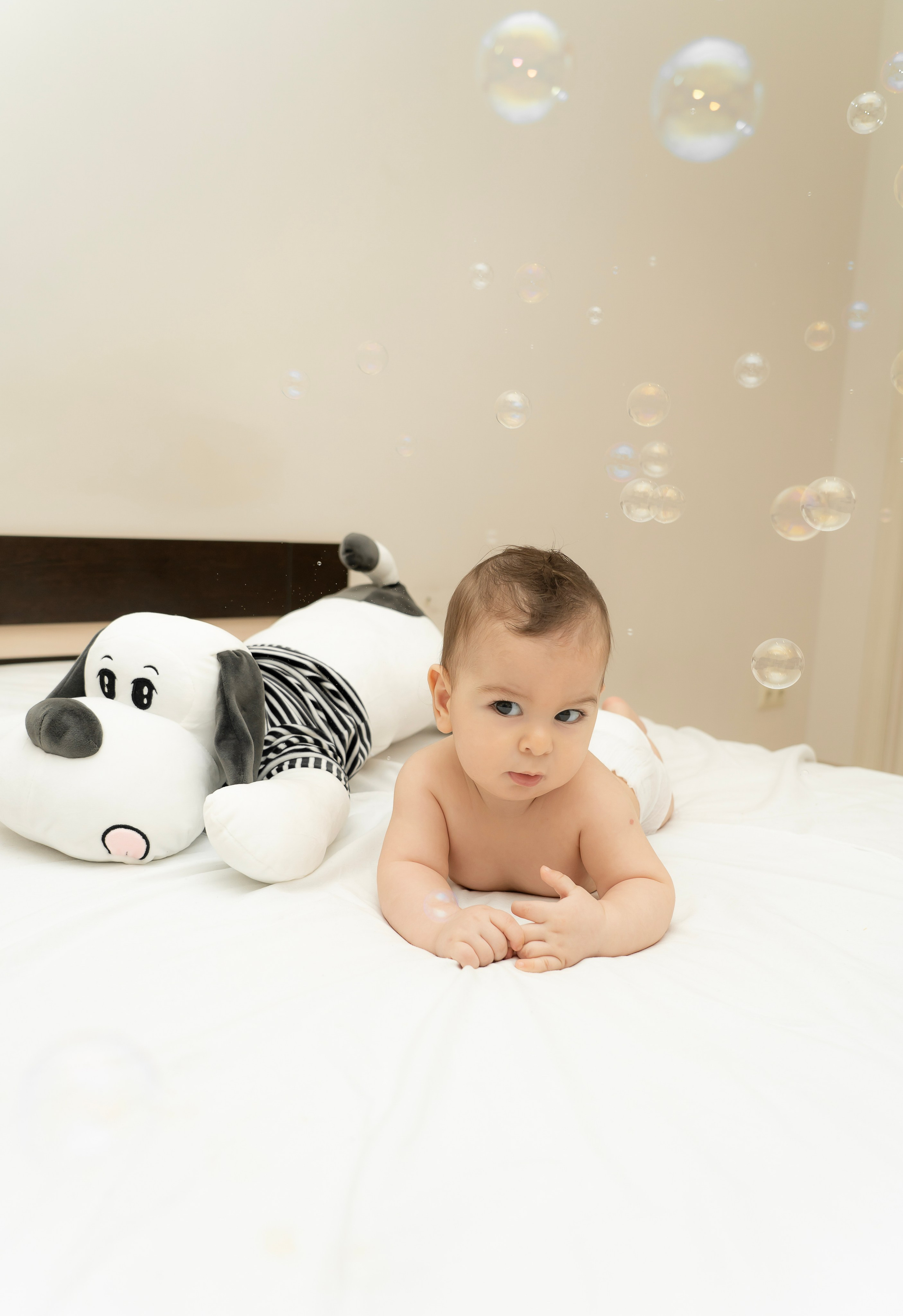 ЛЮБИМЧИК ГАСПАРЧИК. Фотограф Москва Екатерина Бондаренко