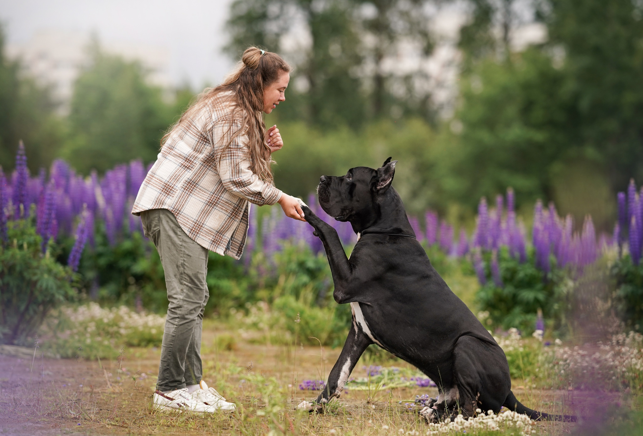 Вика и Трофей люпины. Фотограф-анималист в Санкт-Петербурге Яна Мартынова
