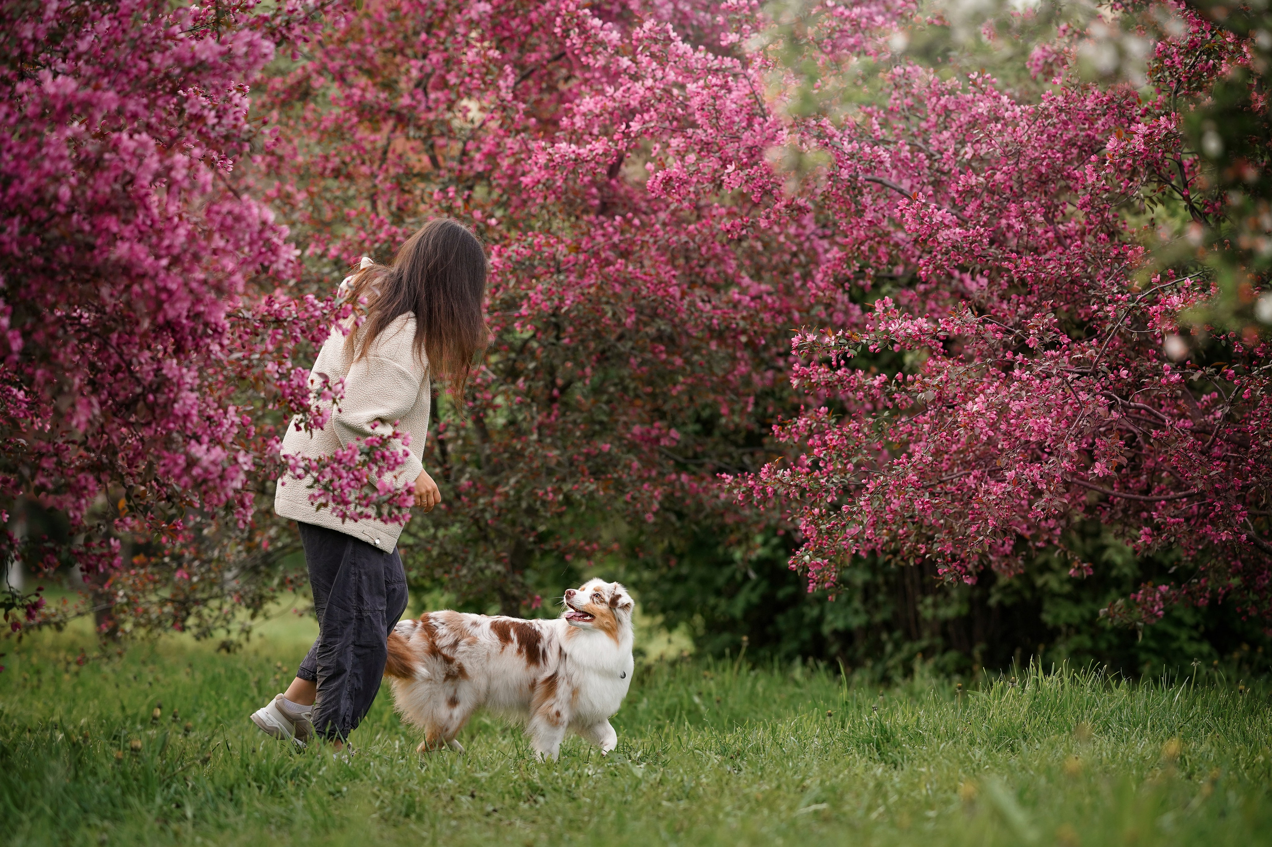 Панда в Яблоневом саду. Фотограф-анималист в Санкт-Петербурге Яна Мартынова
