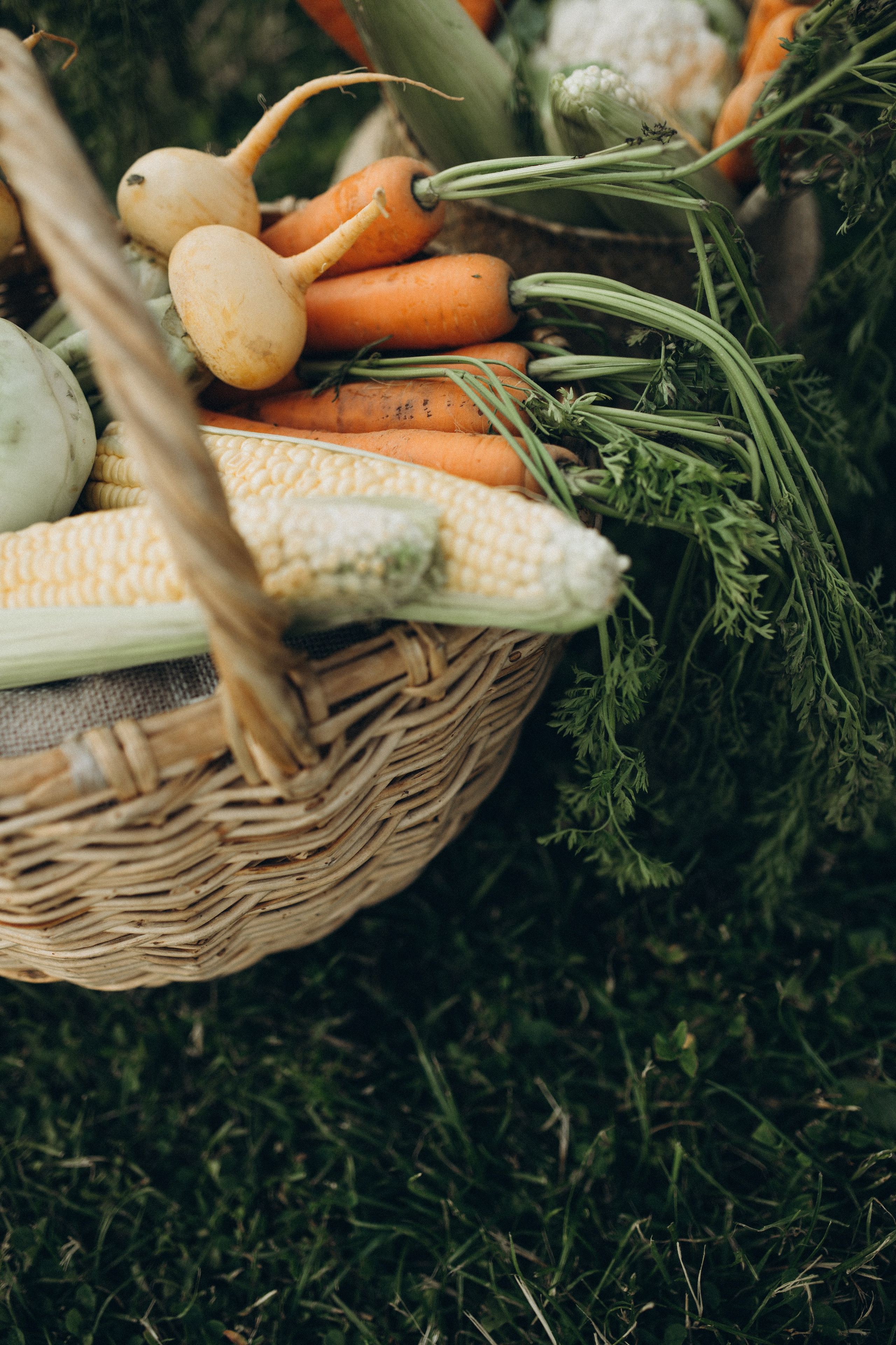 Дарина и Герман. Семейный фотограф в Москве Алина Савченко