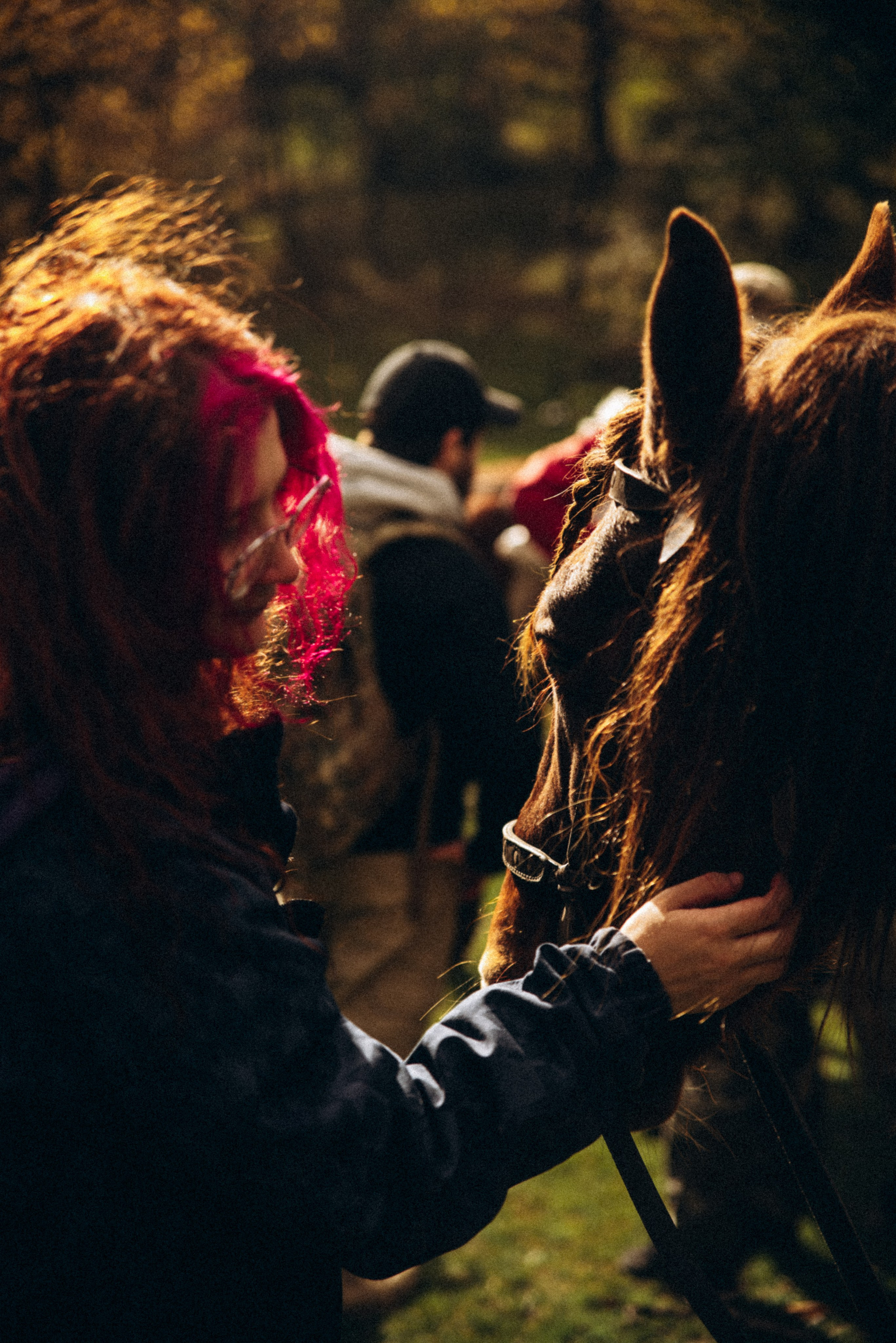 Конный поход 🇬🇪 «PVD Club». Anita_photo