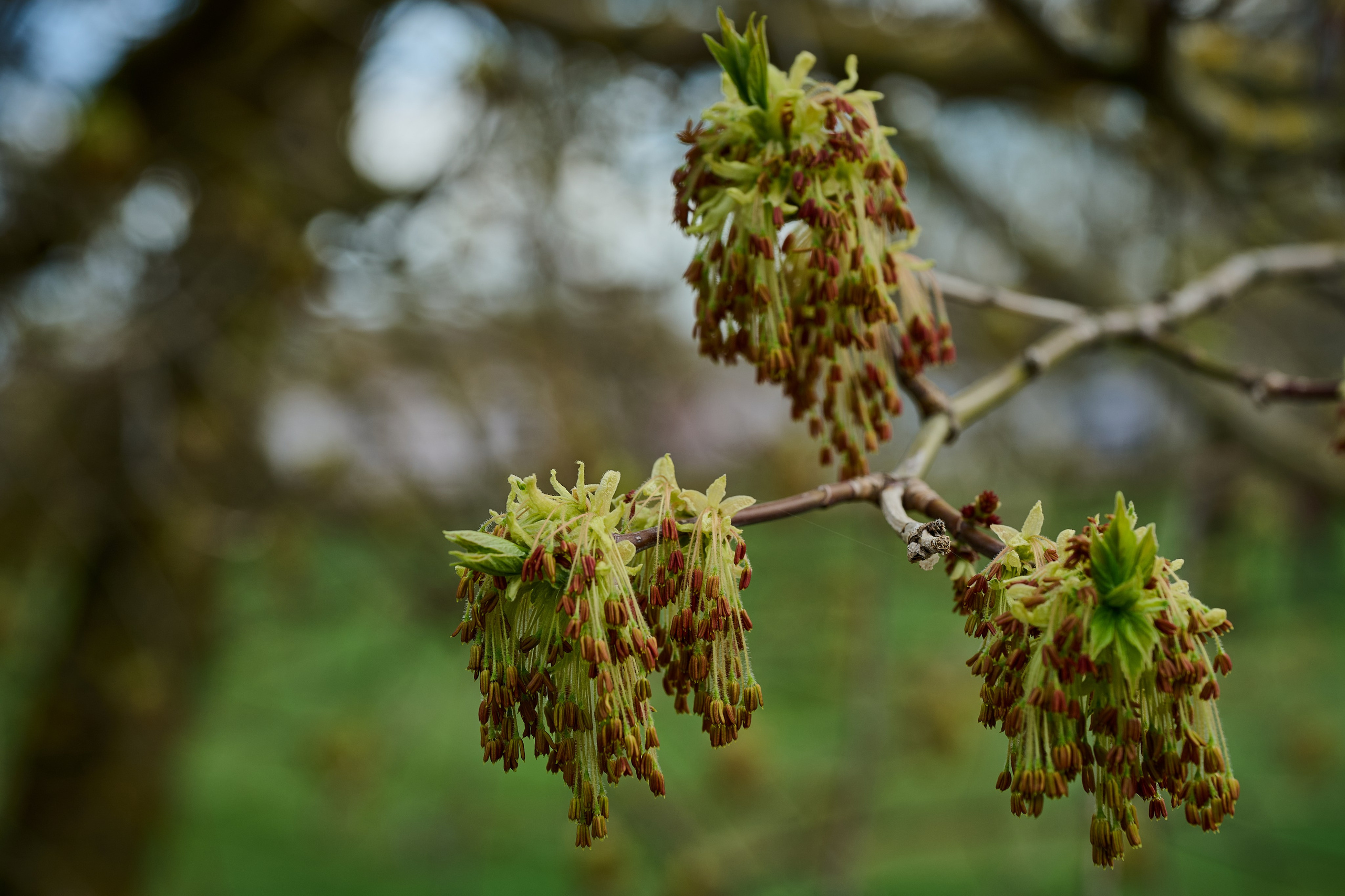 Мелитополь. Фотопроект «Территории»