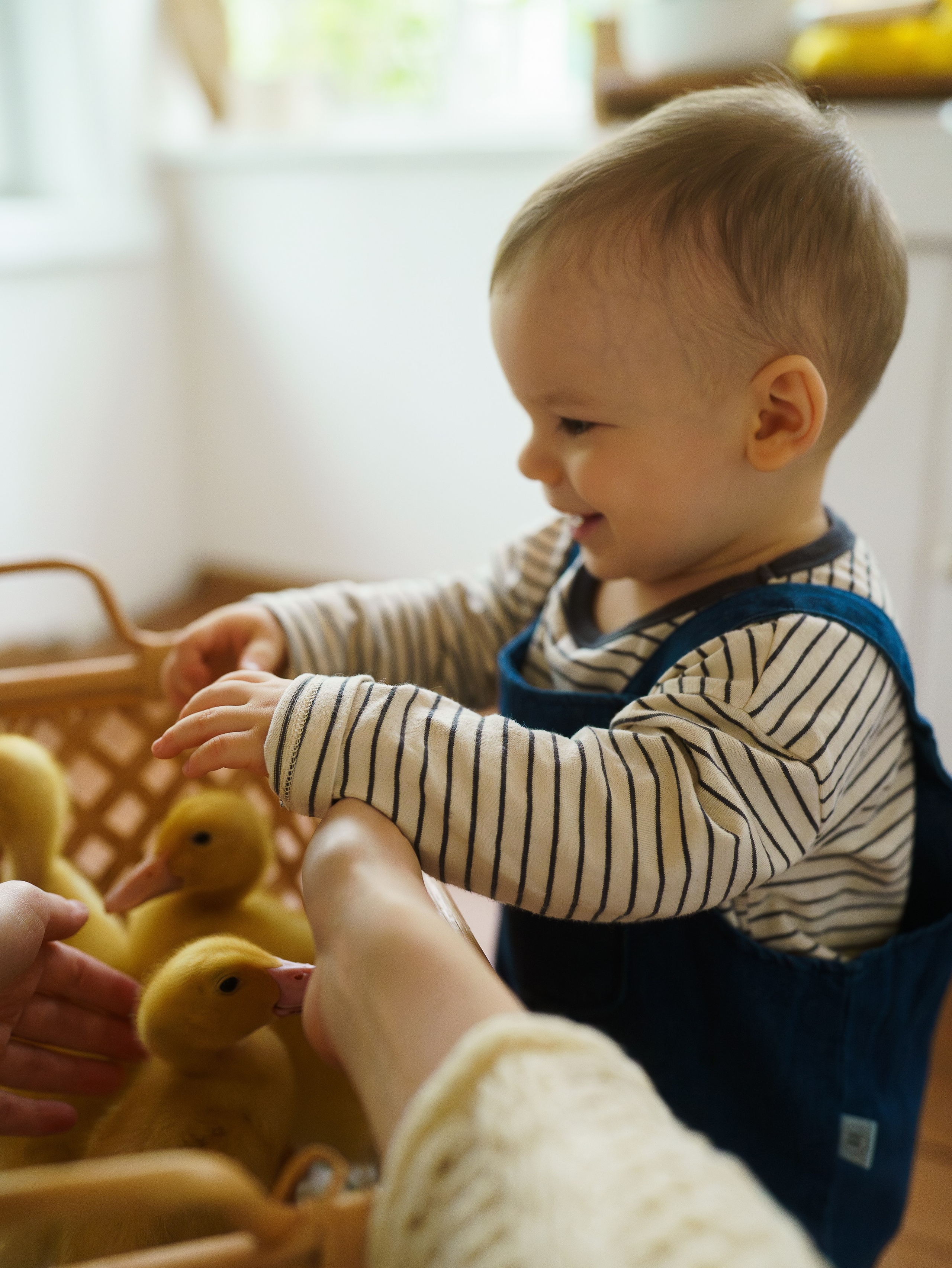Семейный фотограф, видеограф Микуева Ольга