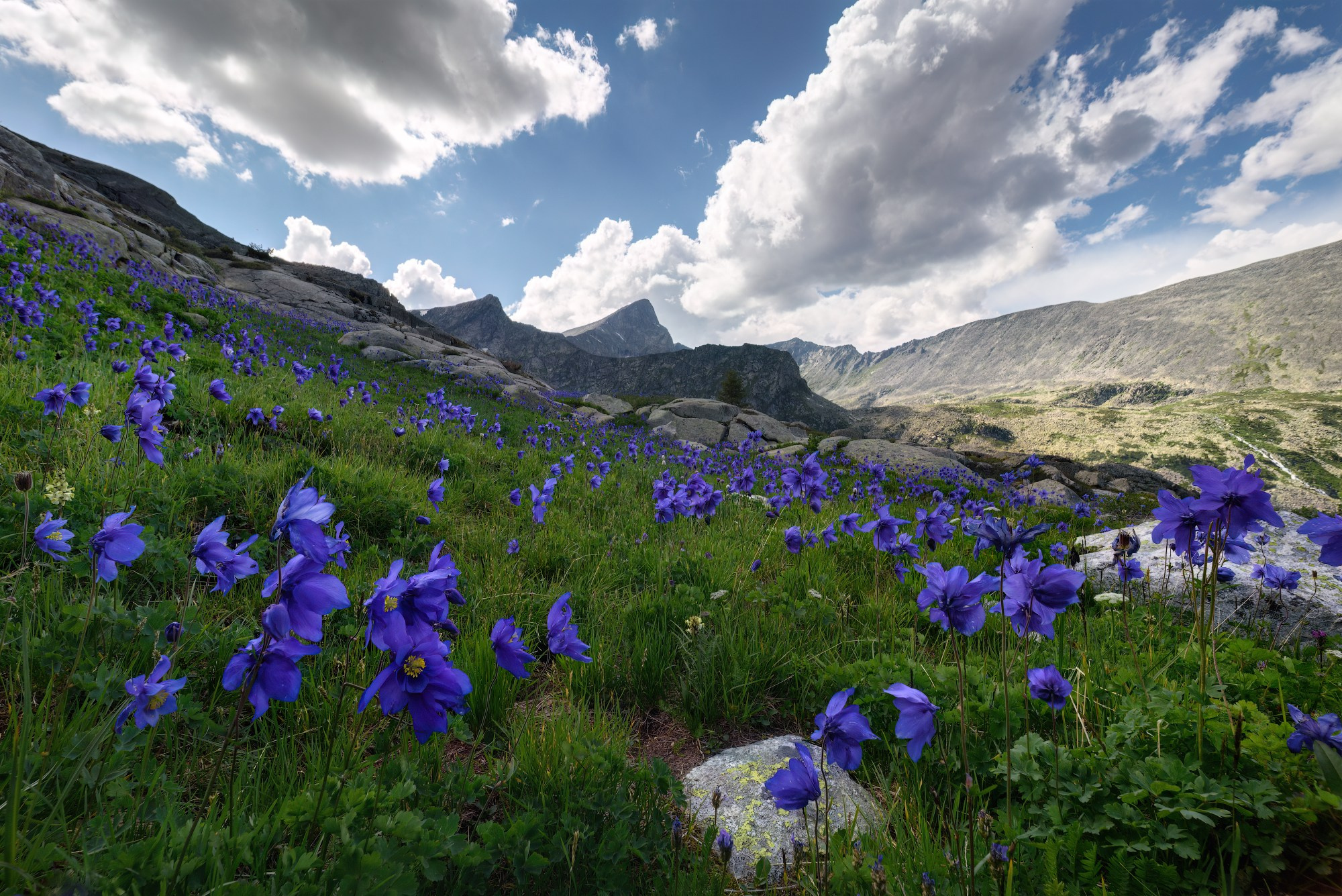 Синее неба. Висячая долина Верхнего Крепкого озера, Усть-Коксинский район, июль 2021