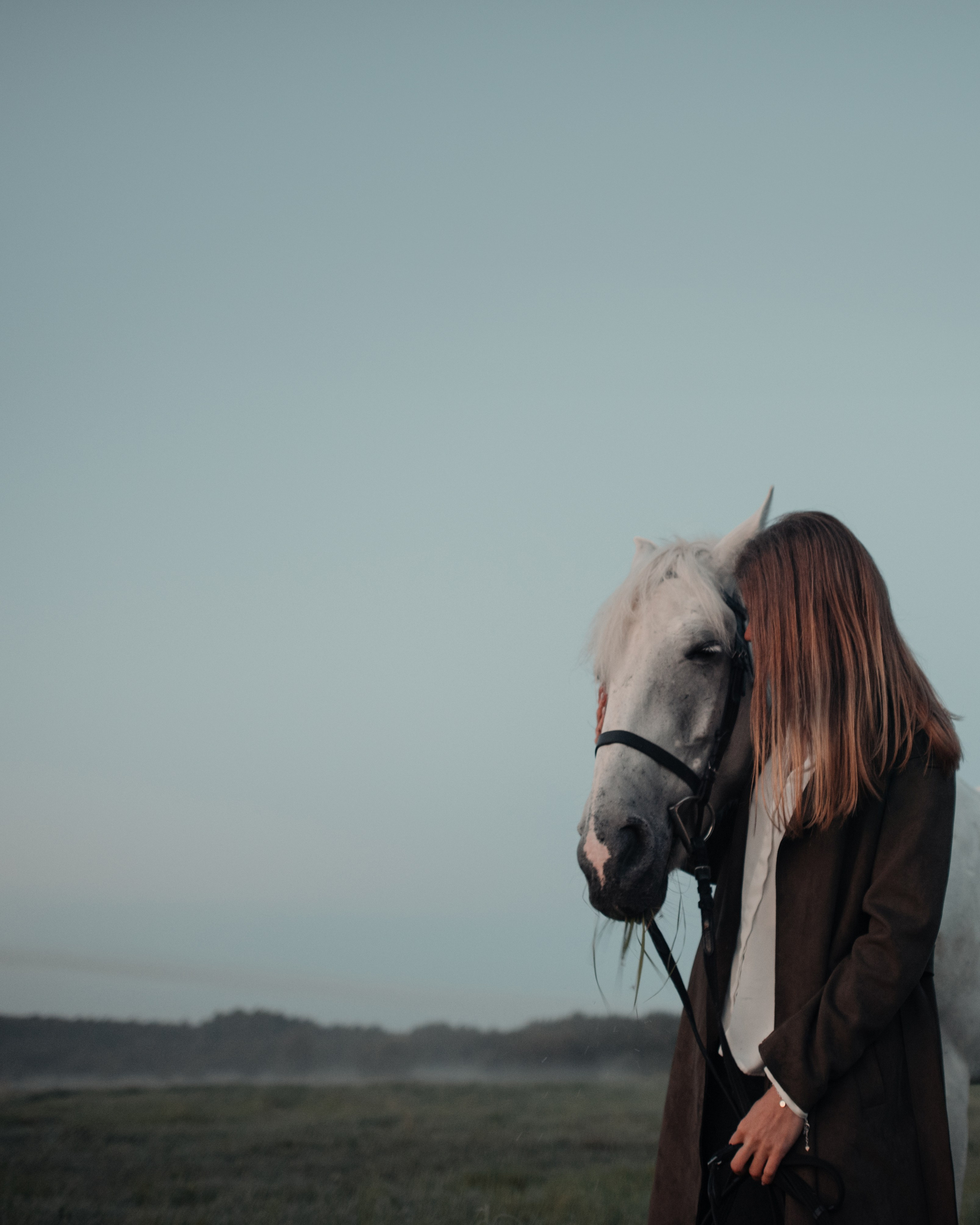 Конное: рассвет на поле с Лерой и Златой. Портфолио