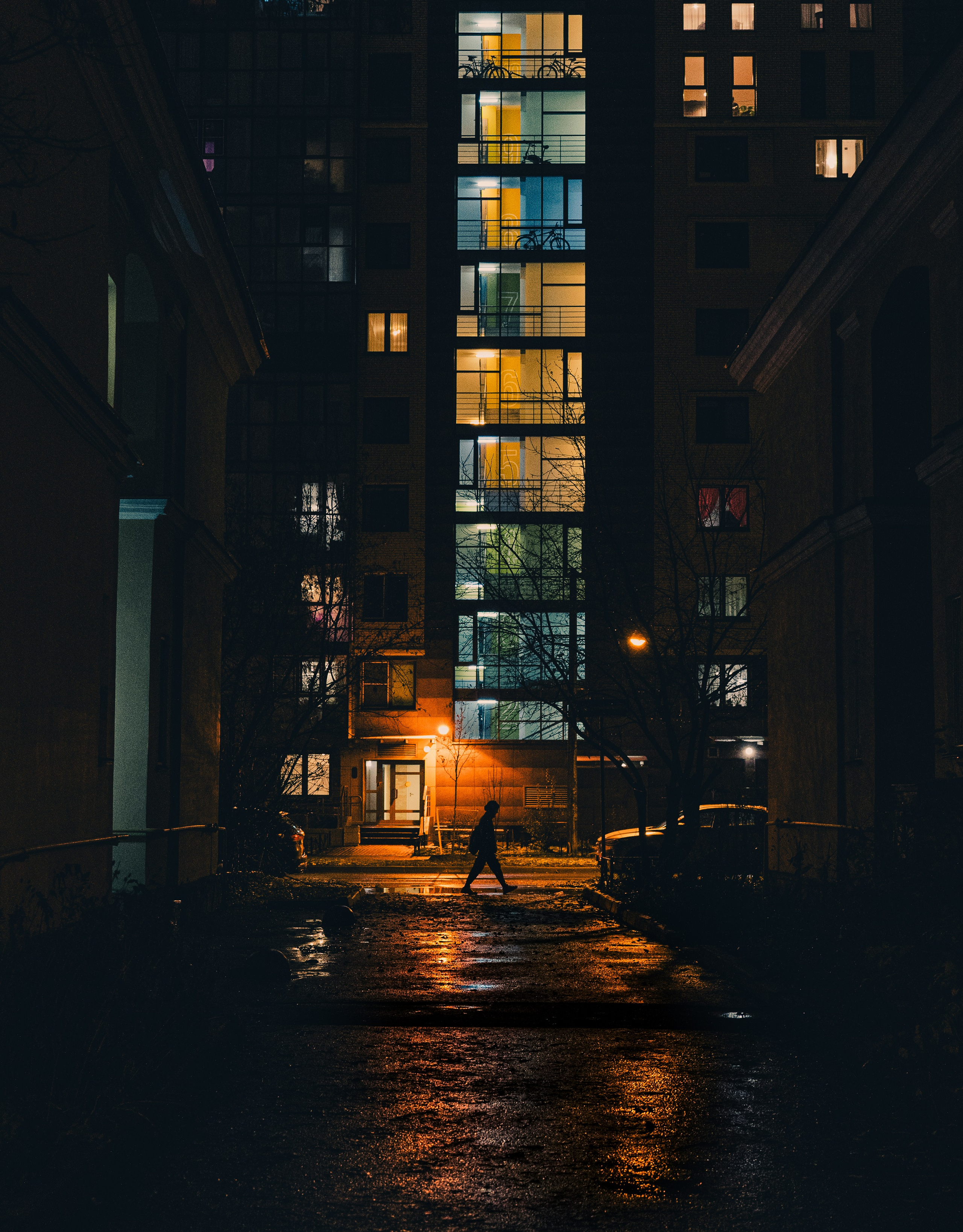 Landscape+. Arseny Sapelkin