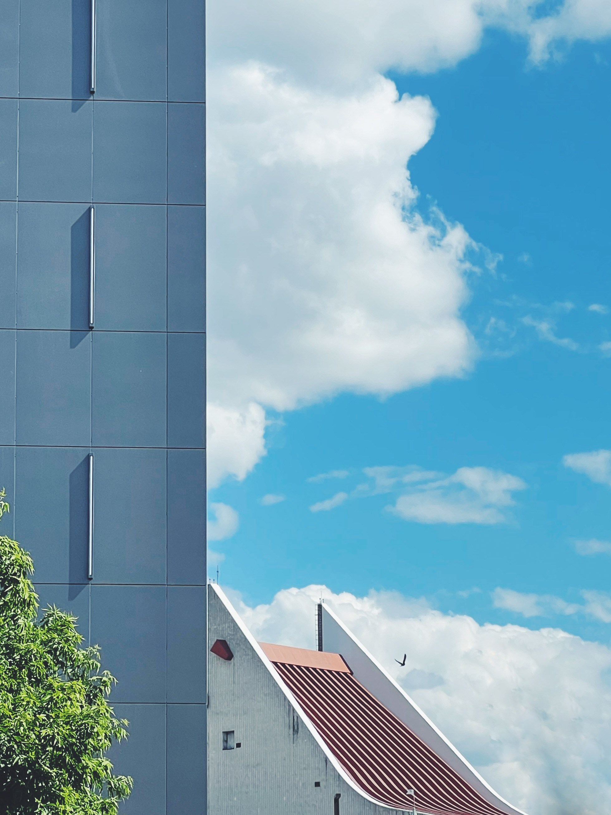 2022. Марфин. Фотограф