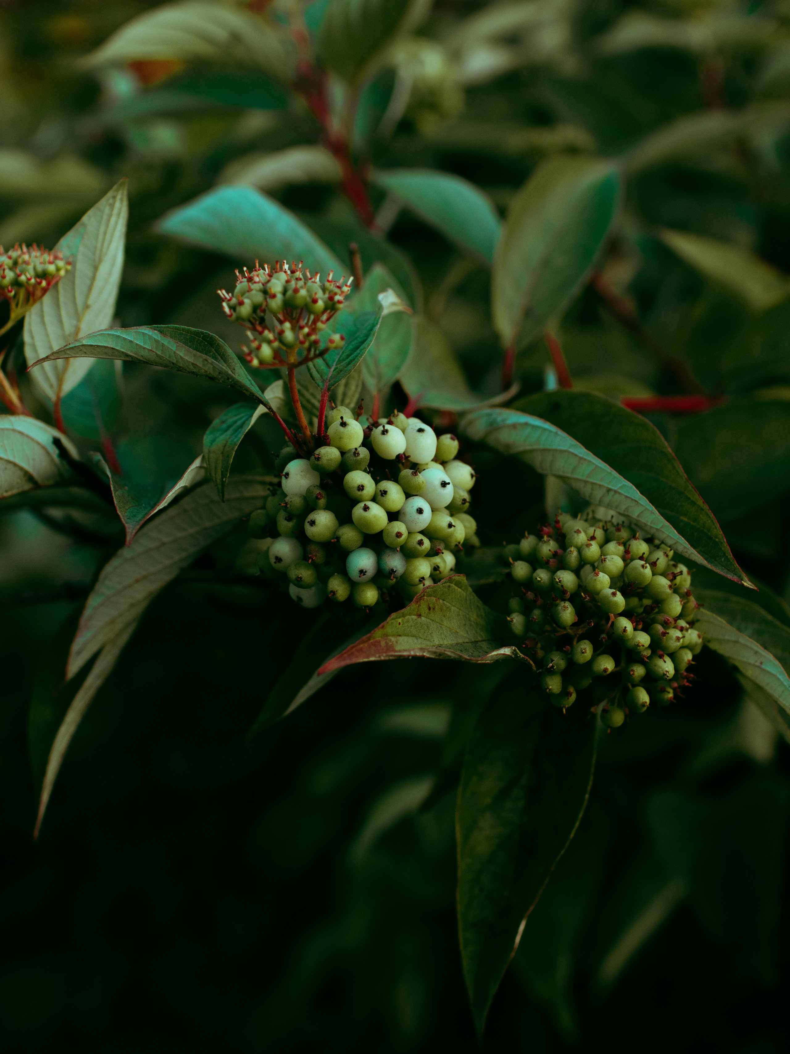 Городская съемка. Кутнов Владислав | Портретная и городская фотосессии | Санкт-Петербург