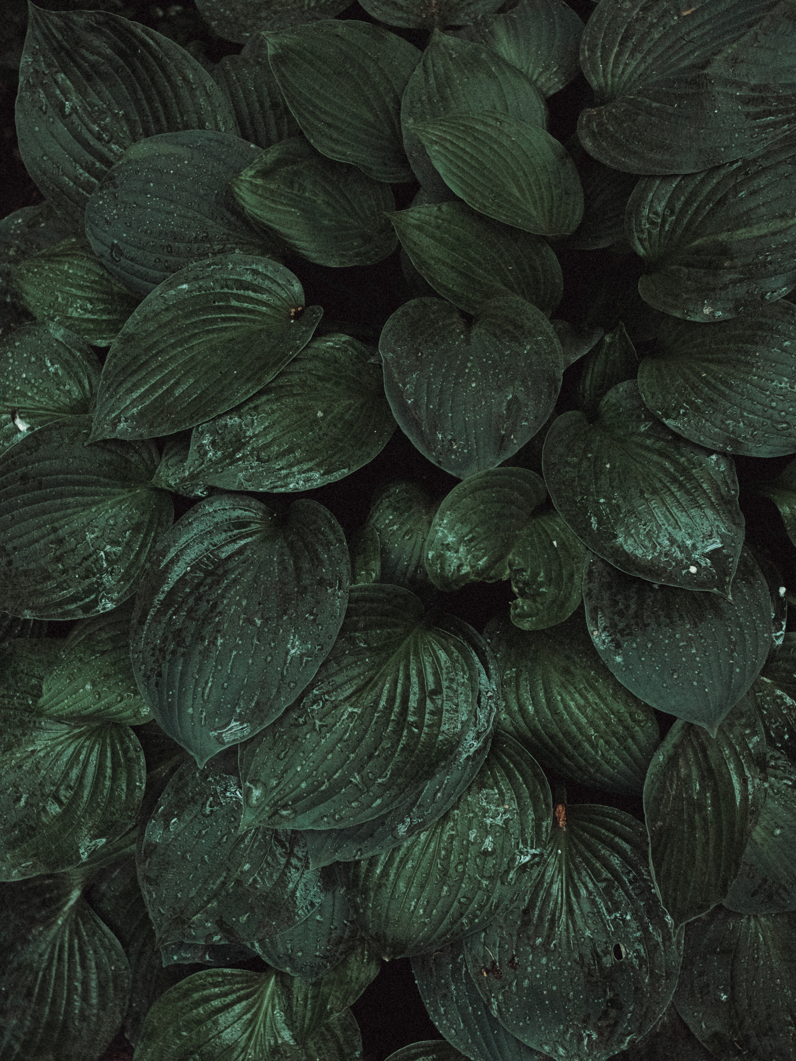 Городская съемка. Кутнов Владислав | Портретная и городская фотосессии | Санкт-Петербург