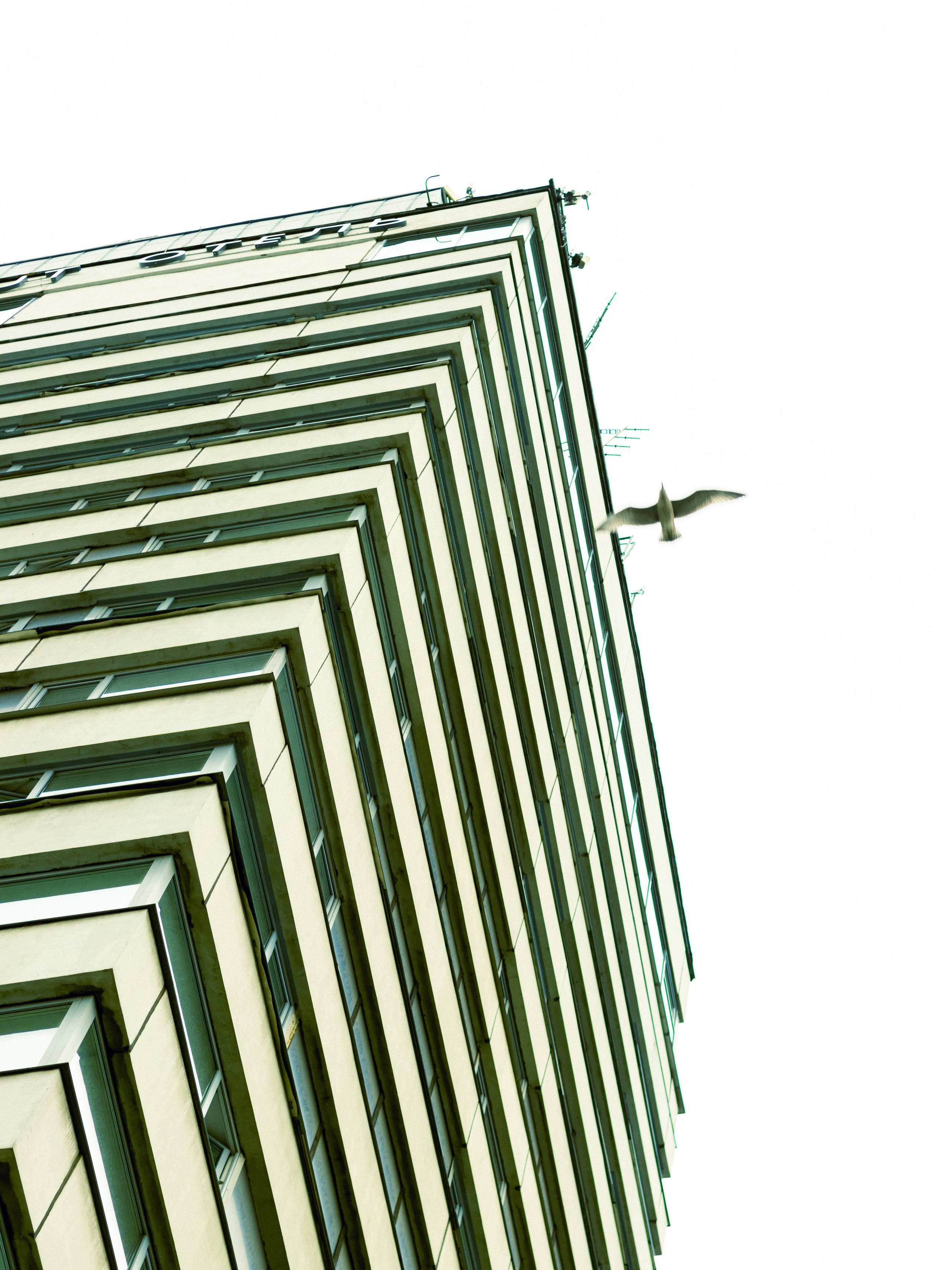 Городская съемка. Кутнов Владислав | Портретная и городская фотосессии | Санкт-Петербург