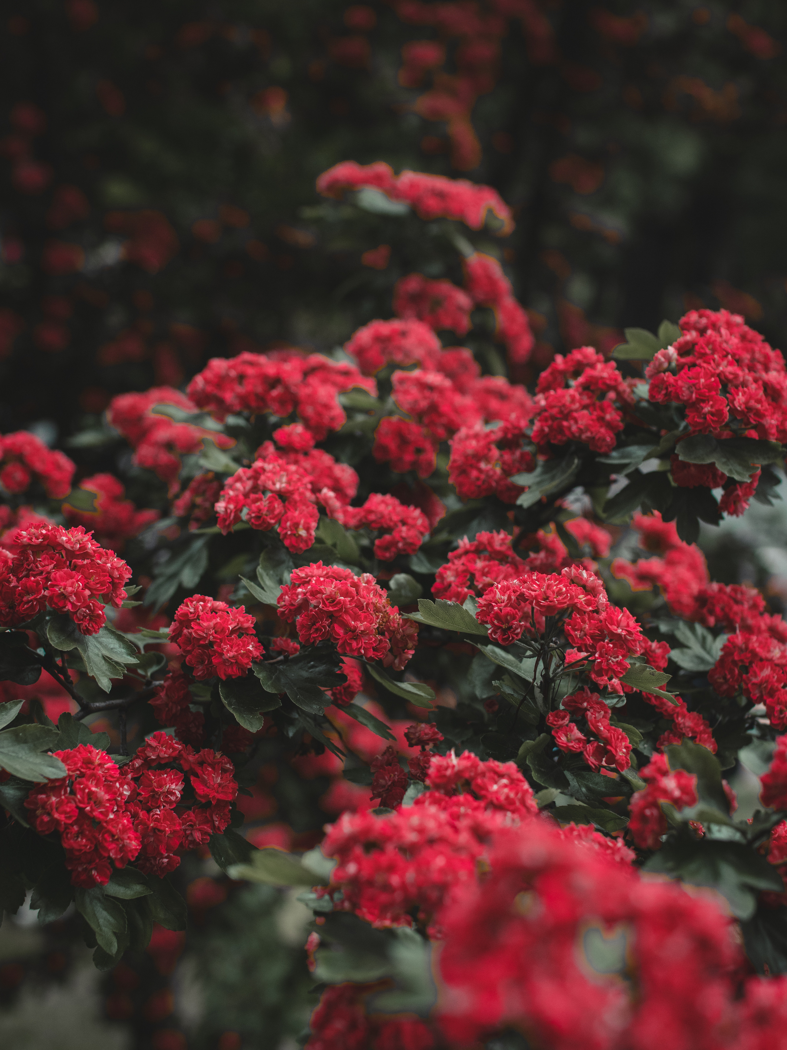 Городская съемка. Кутнов Владислав | Портретная и городская фотосессии | Санкт-Петербург