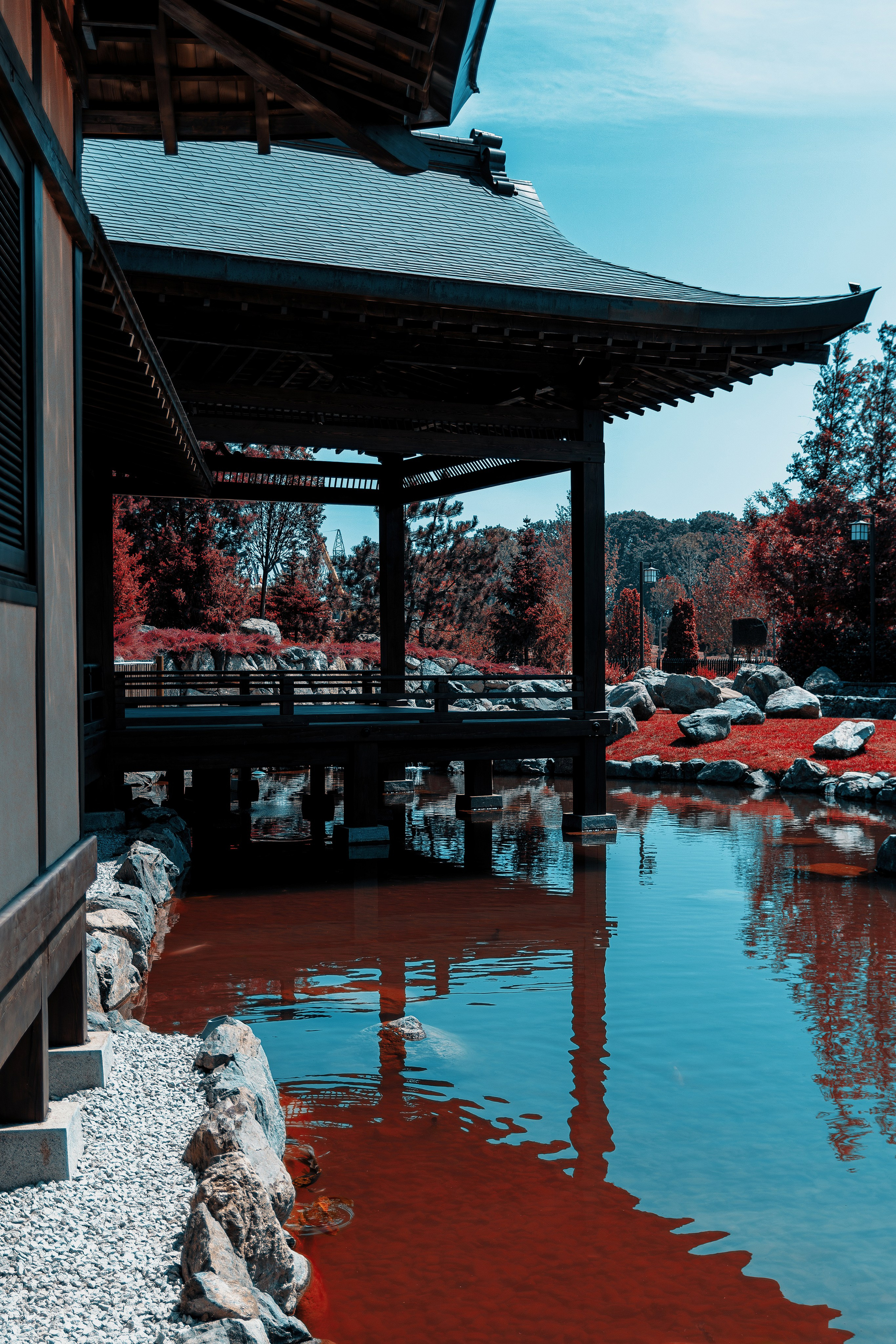 Фотосессия в японском стиле в краснодаре в парке Галицкого. прекрасный образ гейши и женская эстетика. Красивая природа Японии. 