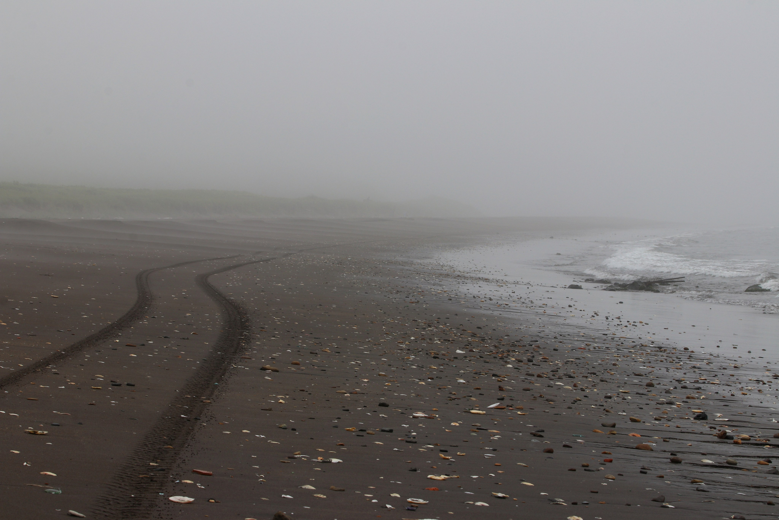 Камчатка и о. Парамушир. Июль 2024. Путешественник-фотограф из Санкт-Петербурга Татьяна Свистулина