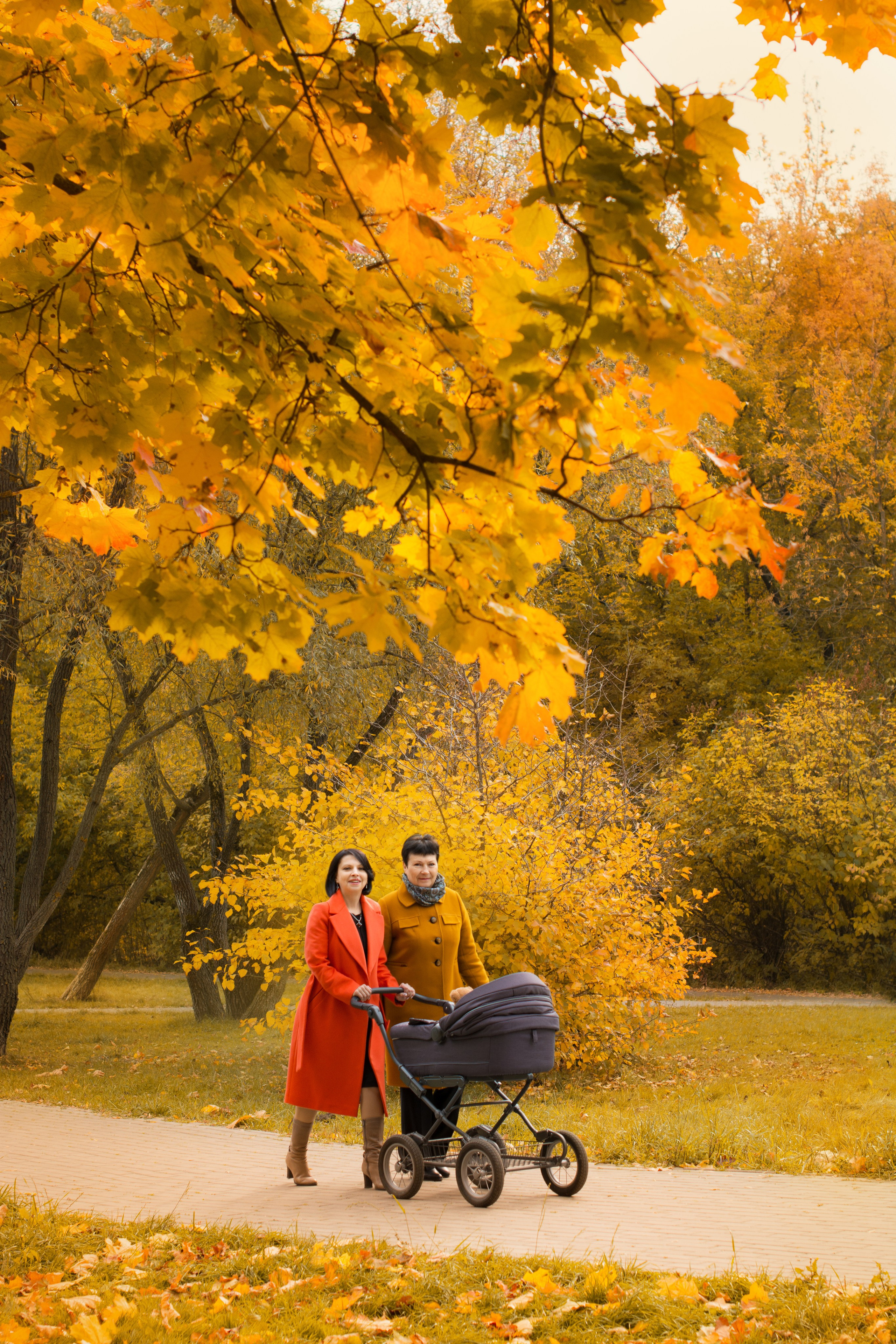 Осень в парке Измайлово. Фотосессия для Анны. Фотосессия беременности — Крылова Натали — Москва