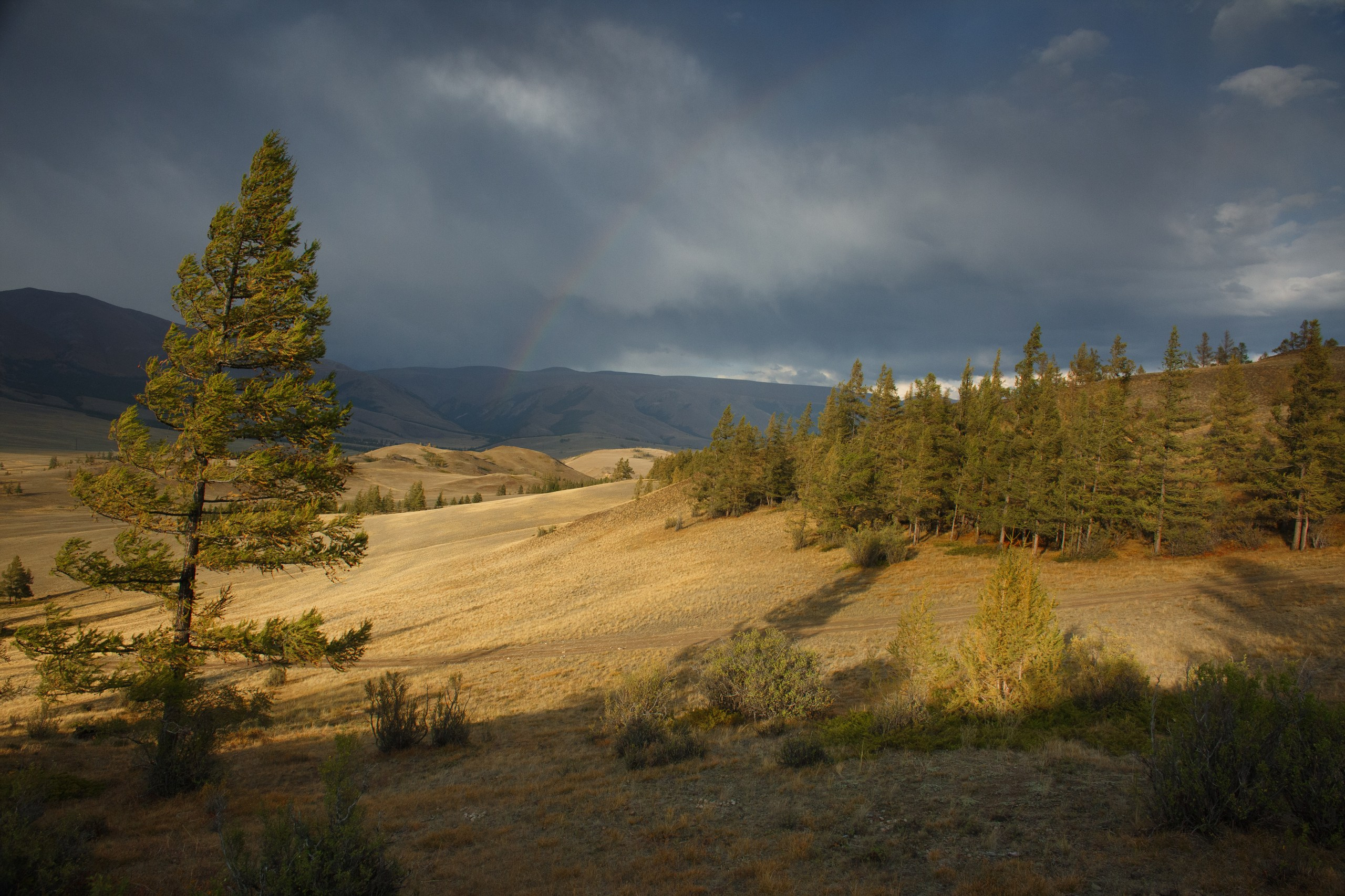 Алтай. Фотограф в Красноярске Нерозя Александр. Пейзаж, природа, портрет