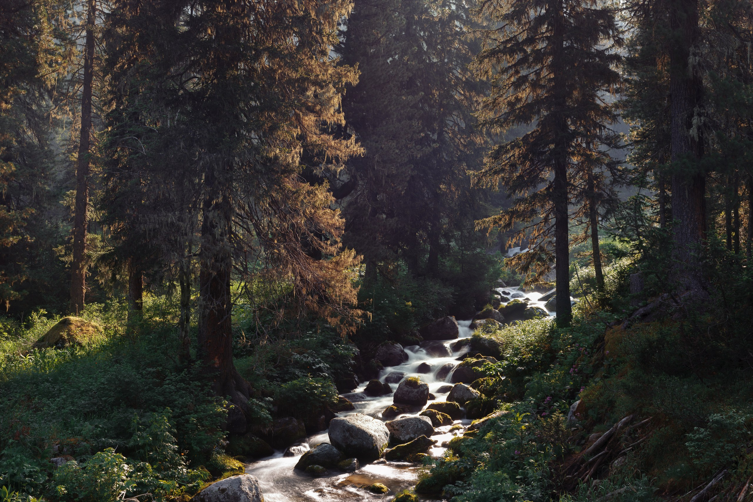 Ергаки. Фотограф в Красноярске Нерозя Александр. Пейзаж, природа, портрет