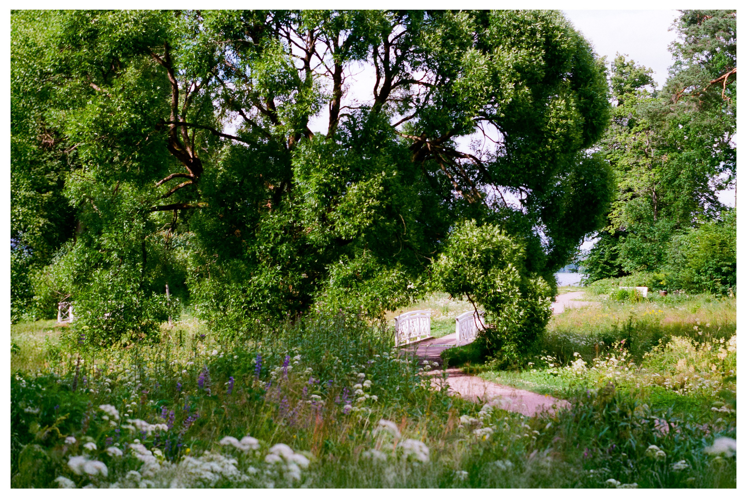 Картинки. Сандра Ковалева | ЧБ фотограф