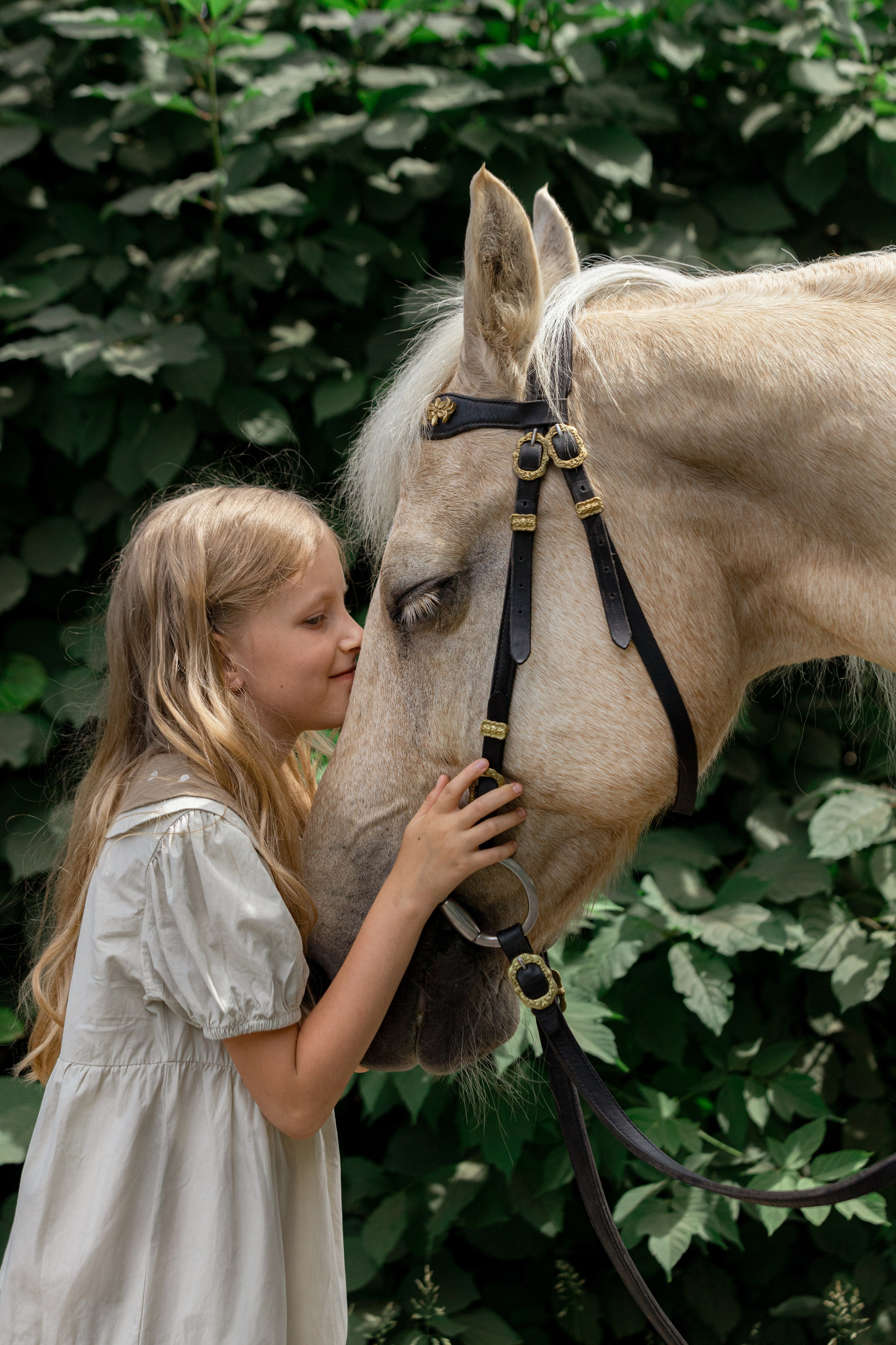 Человек и Лошадь. Главная