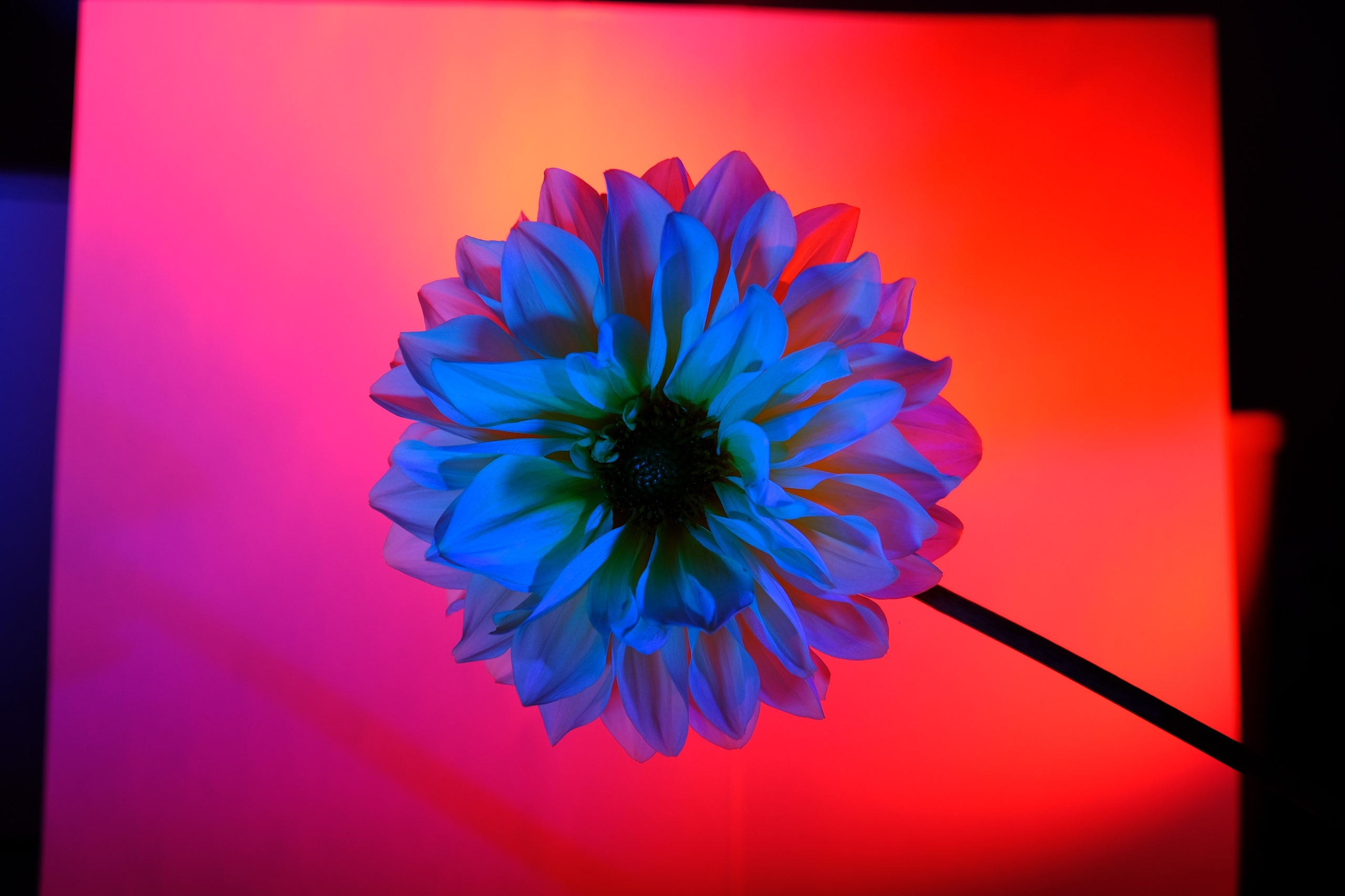 Nature. GubanovPhoto