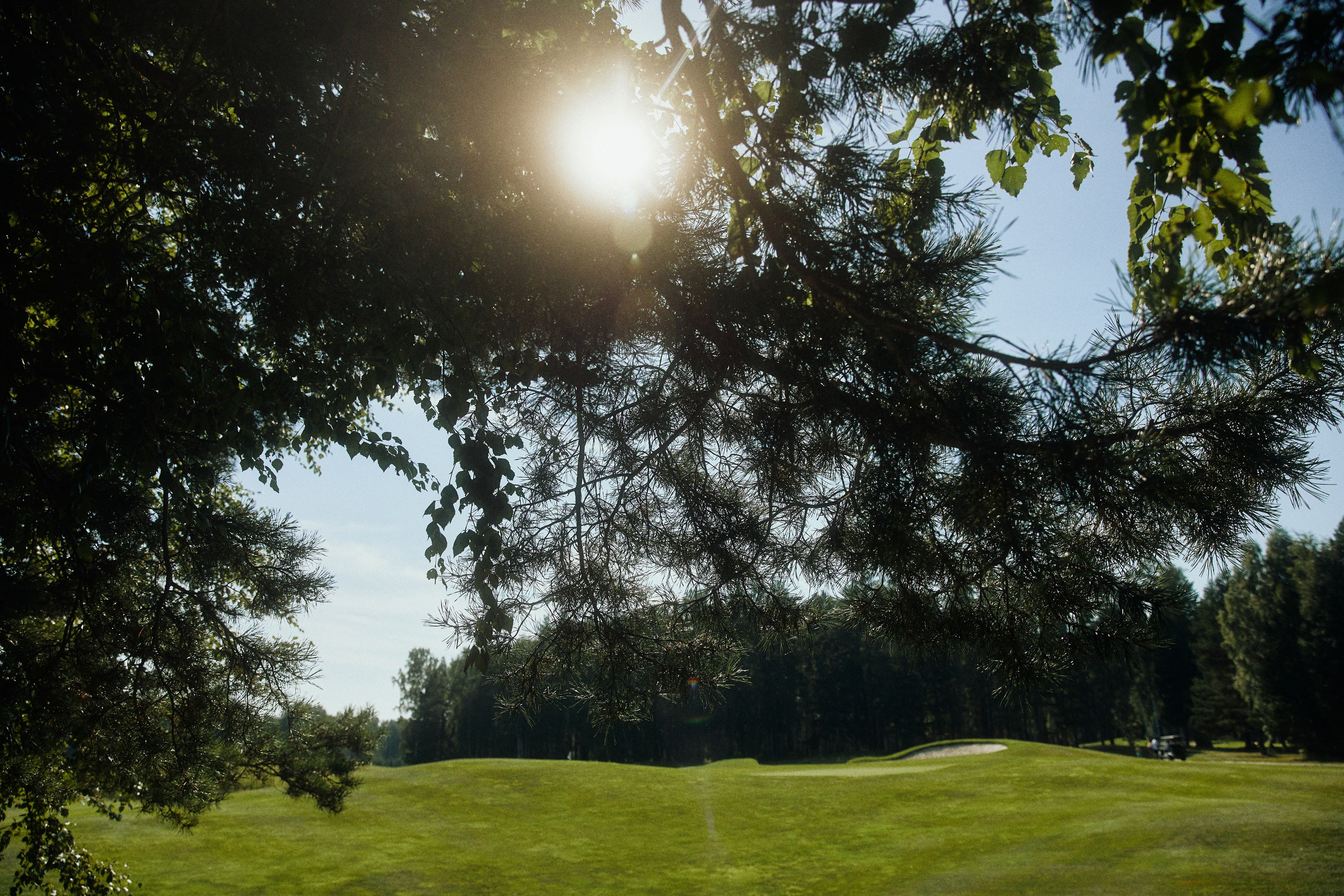 RED LINES. Дмитрий Мазуркевич: Профессиональный Репортажный Фотограф