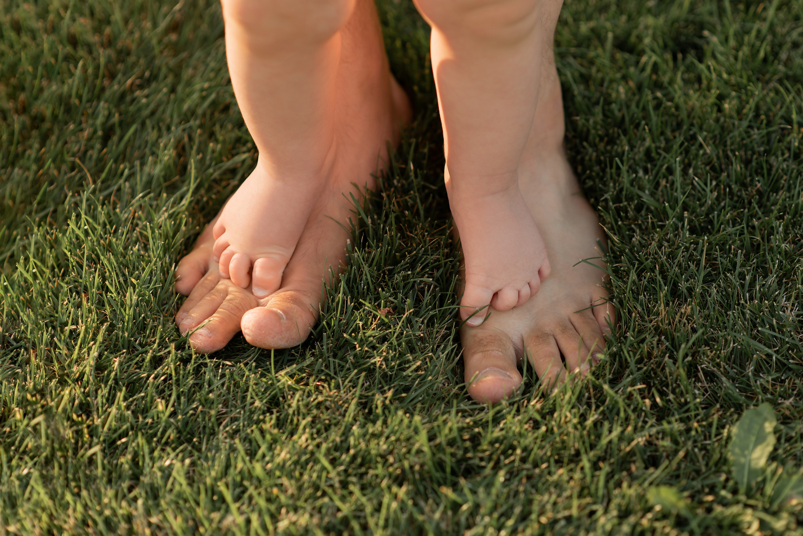 Пикник в парке. Главная