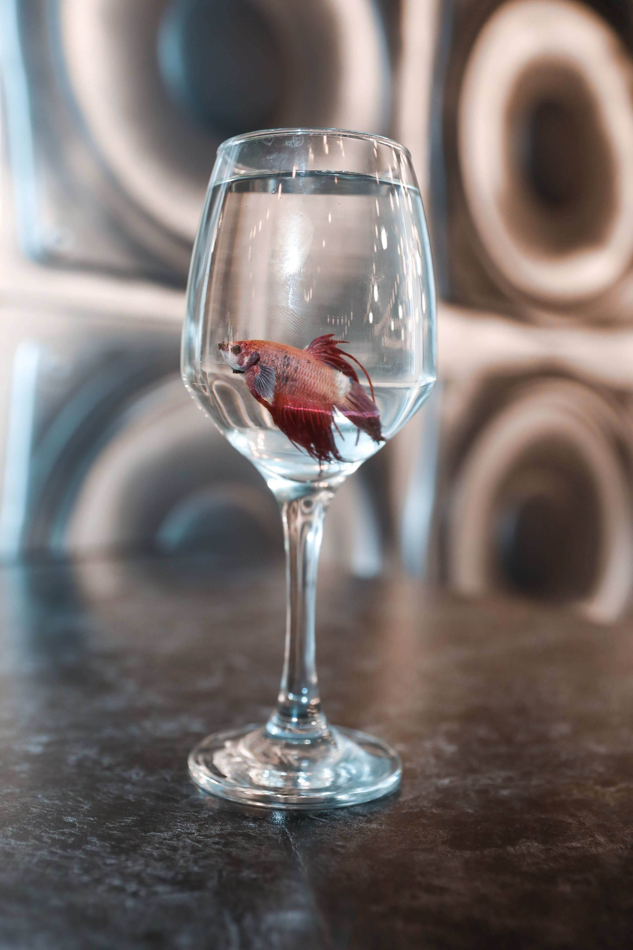 ДЕТСКИЕ МЕРОПРИЯТИЯ. Photographer Viktoriya Markushina «My world throug»