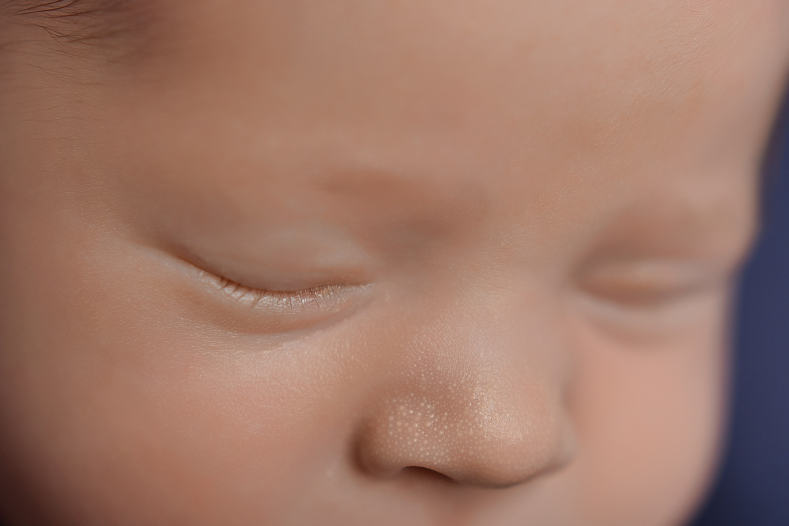 Макро кадры. Елена Комиссарова-фотограф новорожденных в г. Иваново