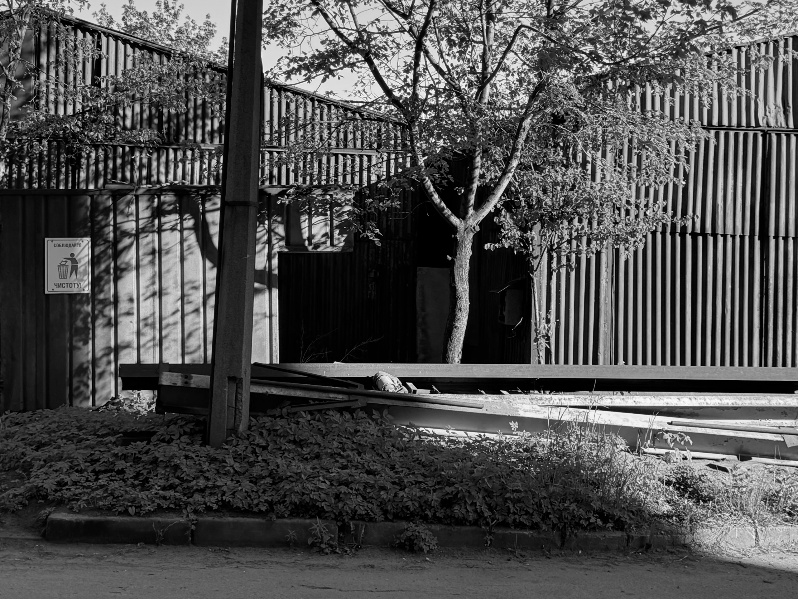 The practicality of non-acceptance. 2025. Janie valde |photographer & visual artist