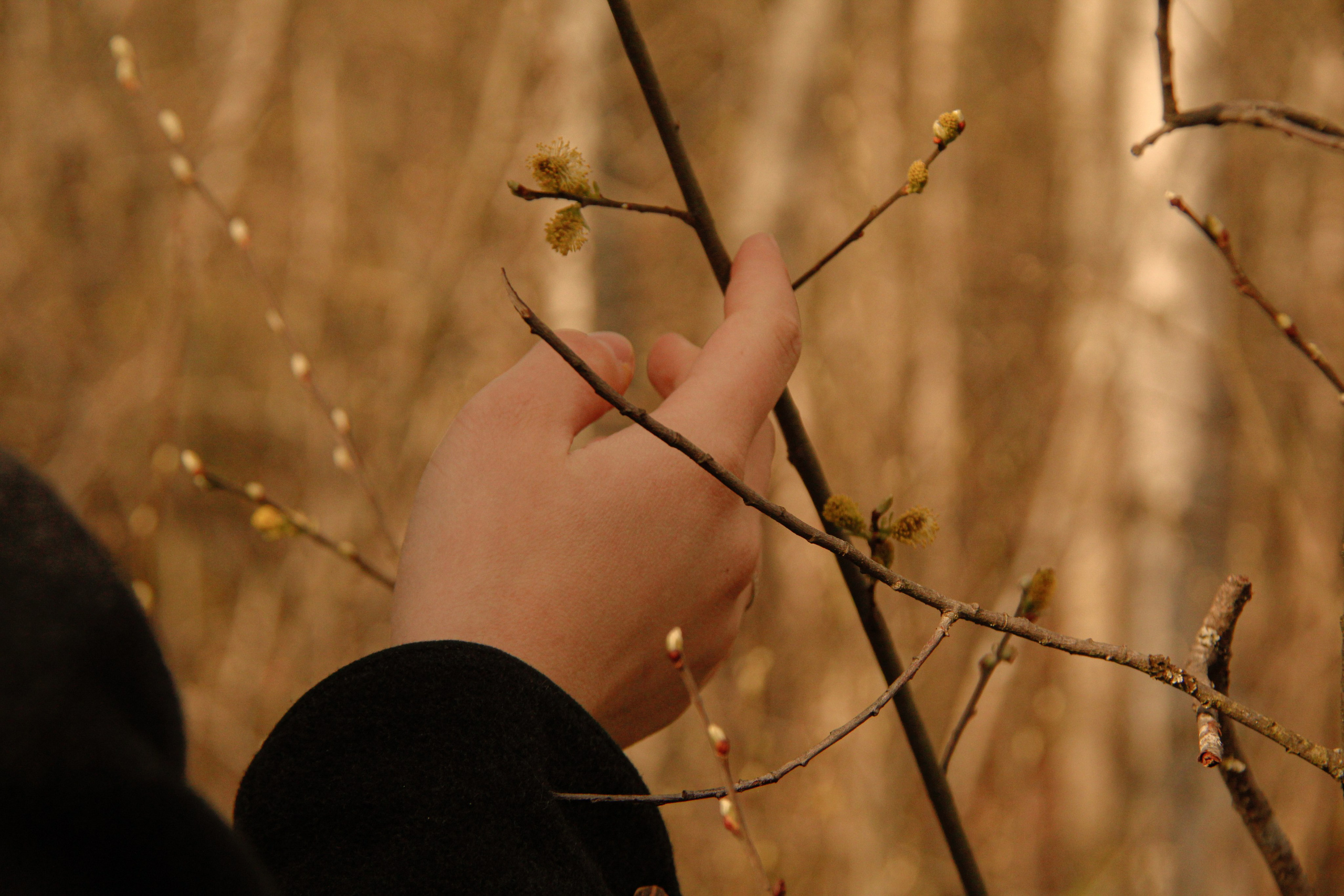 Болотный Хоббит. Карина и Аня. Janie valde | visual artist