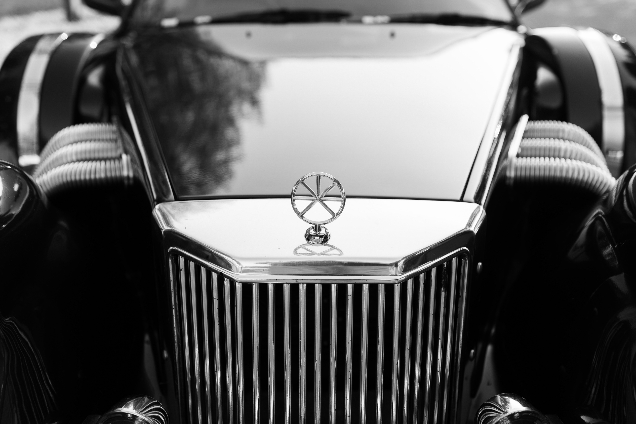 Нежная прогулка за городом. Свадебный фотограф Елена Рубцова