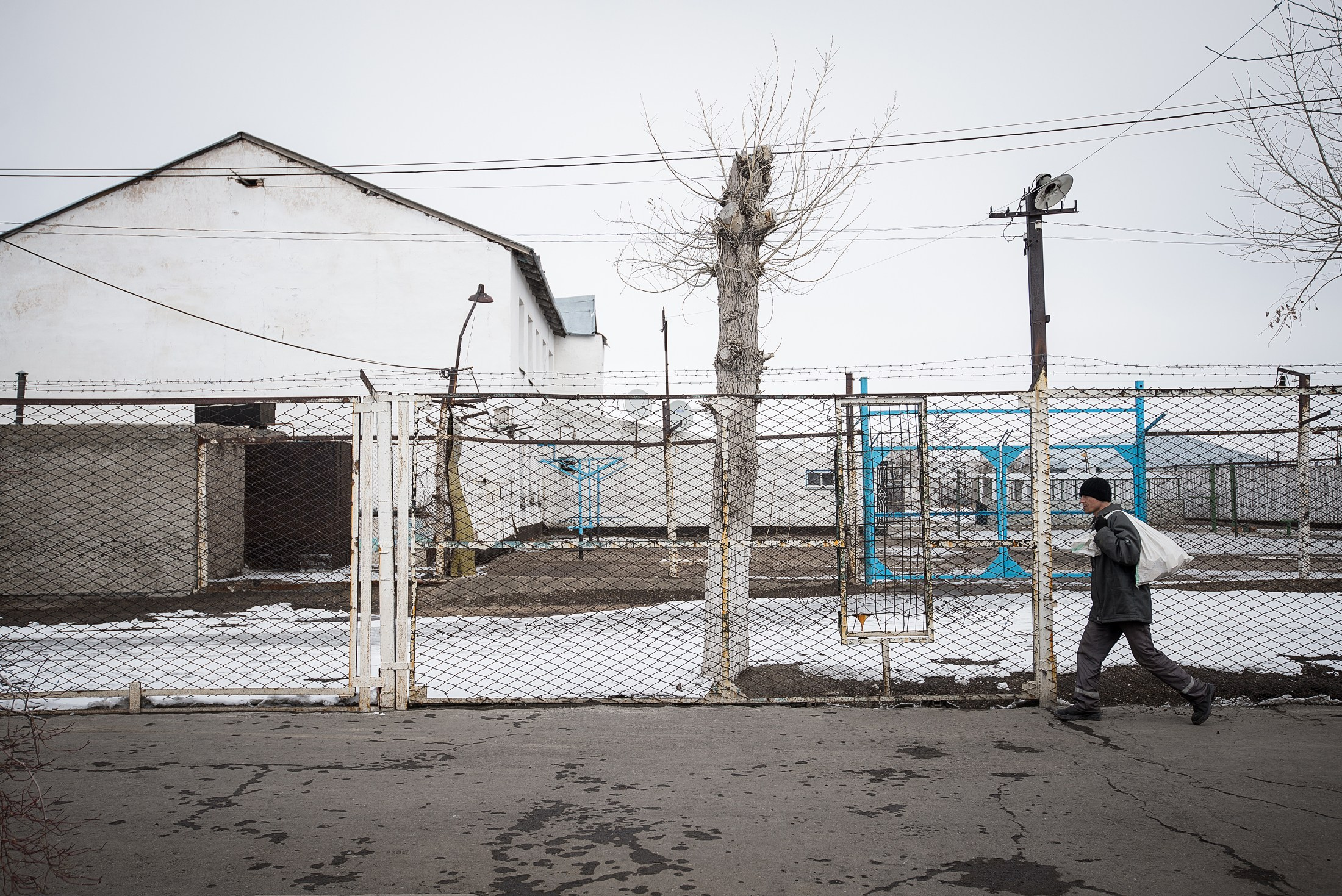 Для СМИ. Фотограф в Калининграде Сулейманов Амирхан