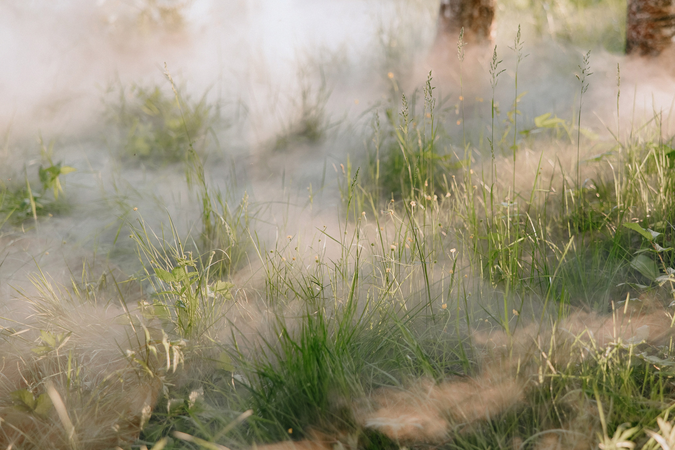 Загородная камерная свадьба Дмитрия и Екатерины. Свадебный фотограф Москва