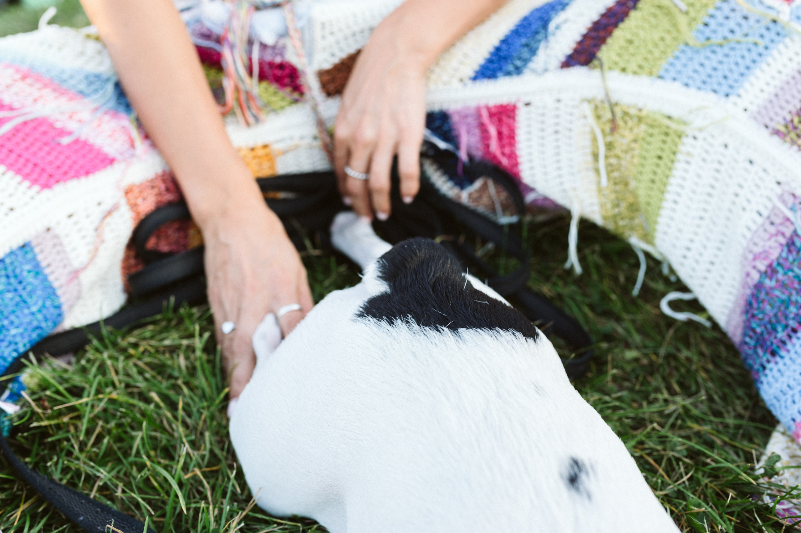 Инна и Белль. Фотограф анималист в Москве Ольга Агушева