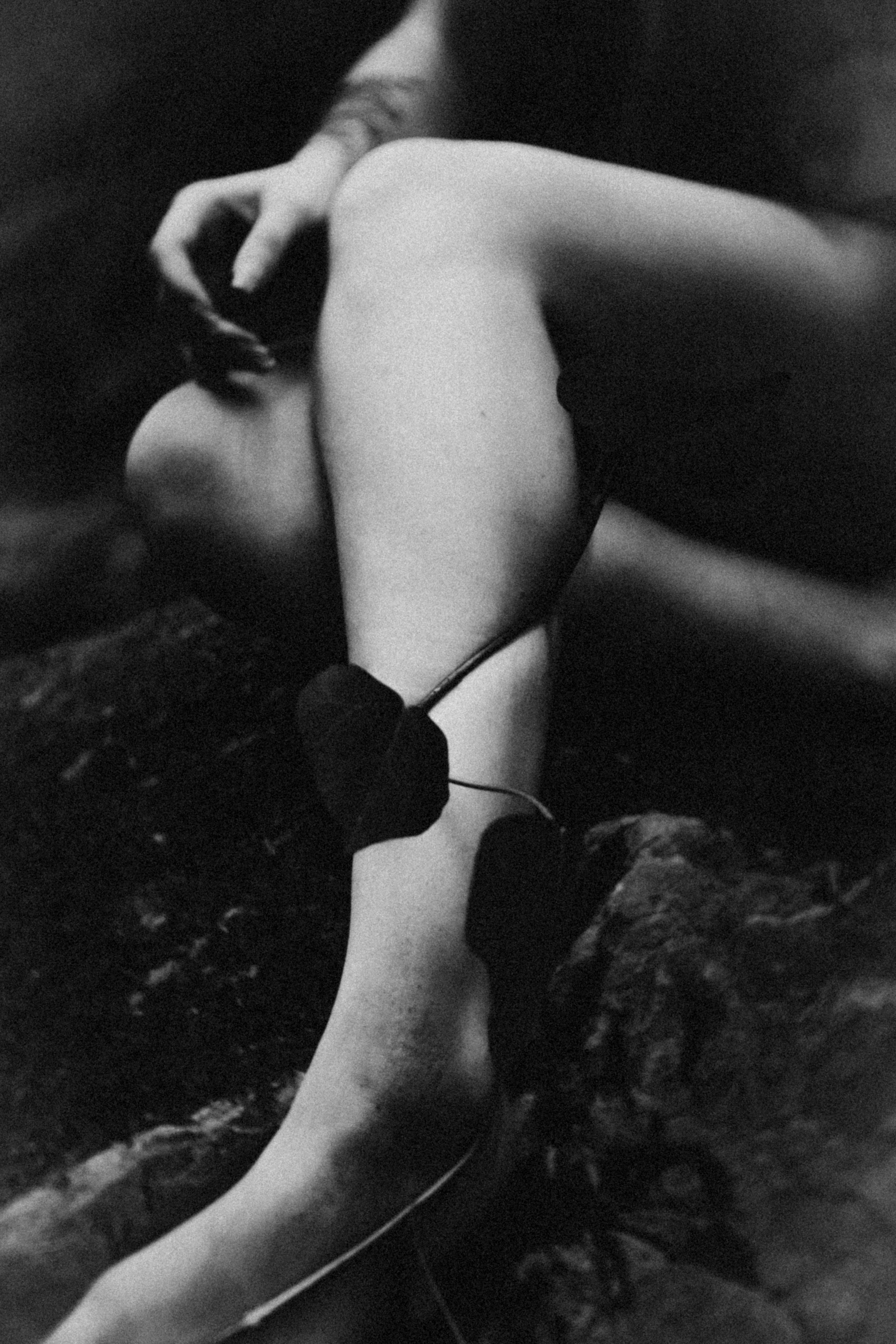 Обнаженная фотосъёмка в лесу