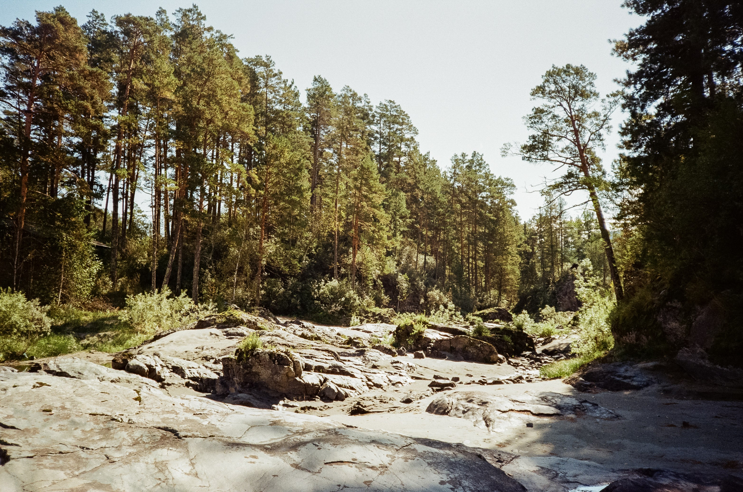 Кедровый остров. Бирюзовая Катунь. Фотограф-документалист Мария Осокина