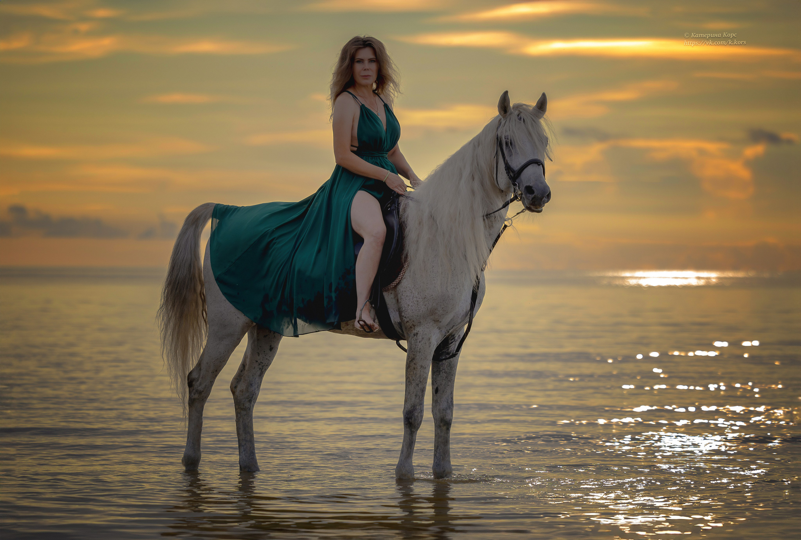 Лошади и люди. Главная