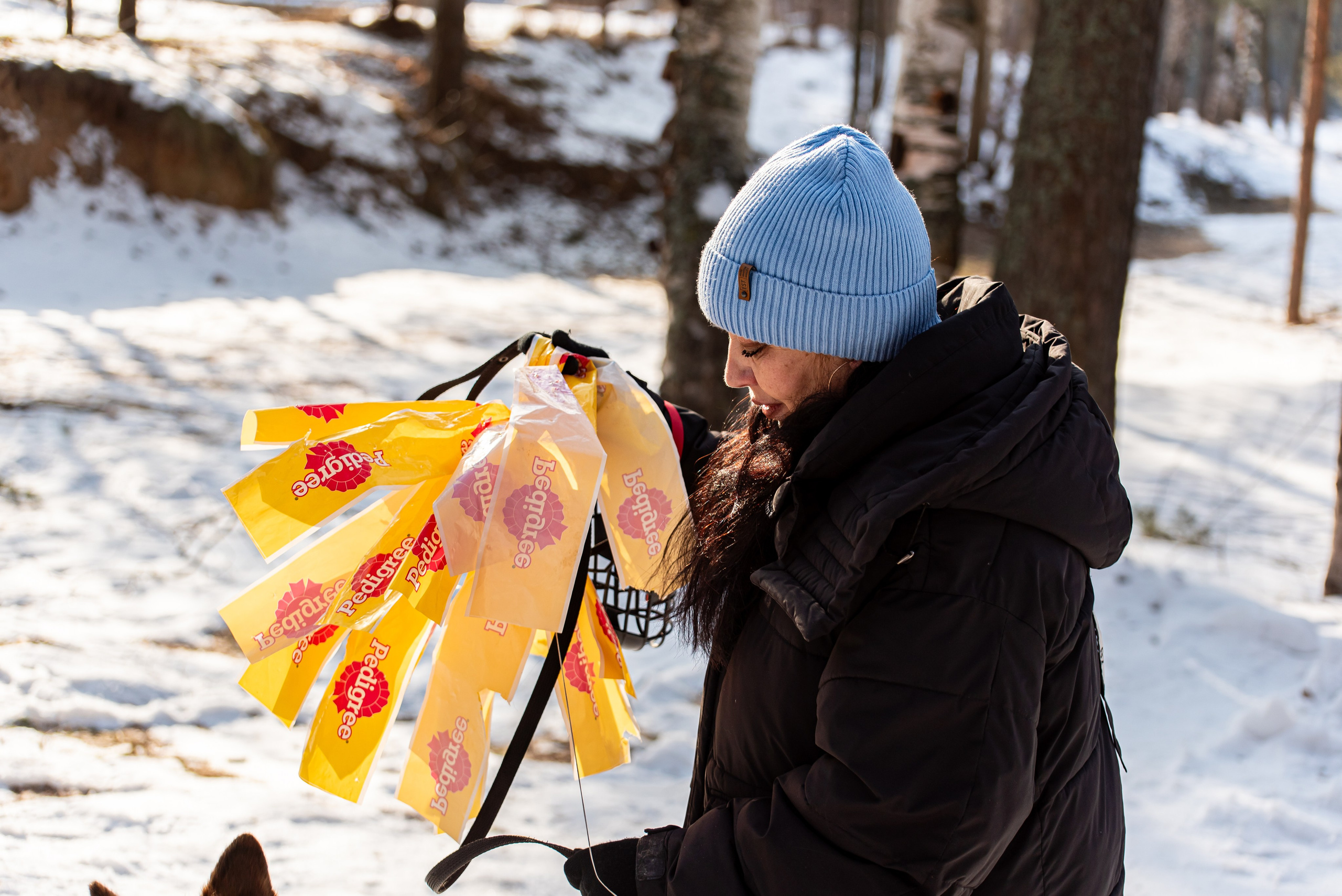 Фотосъёмка с собаками в Кинологическом лагере. Фотограф Макс Огурцов в Нижнем Новгороде