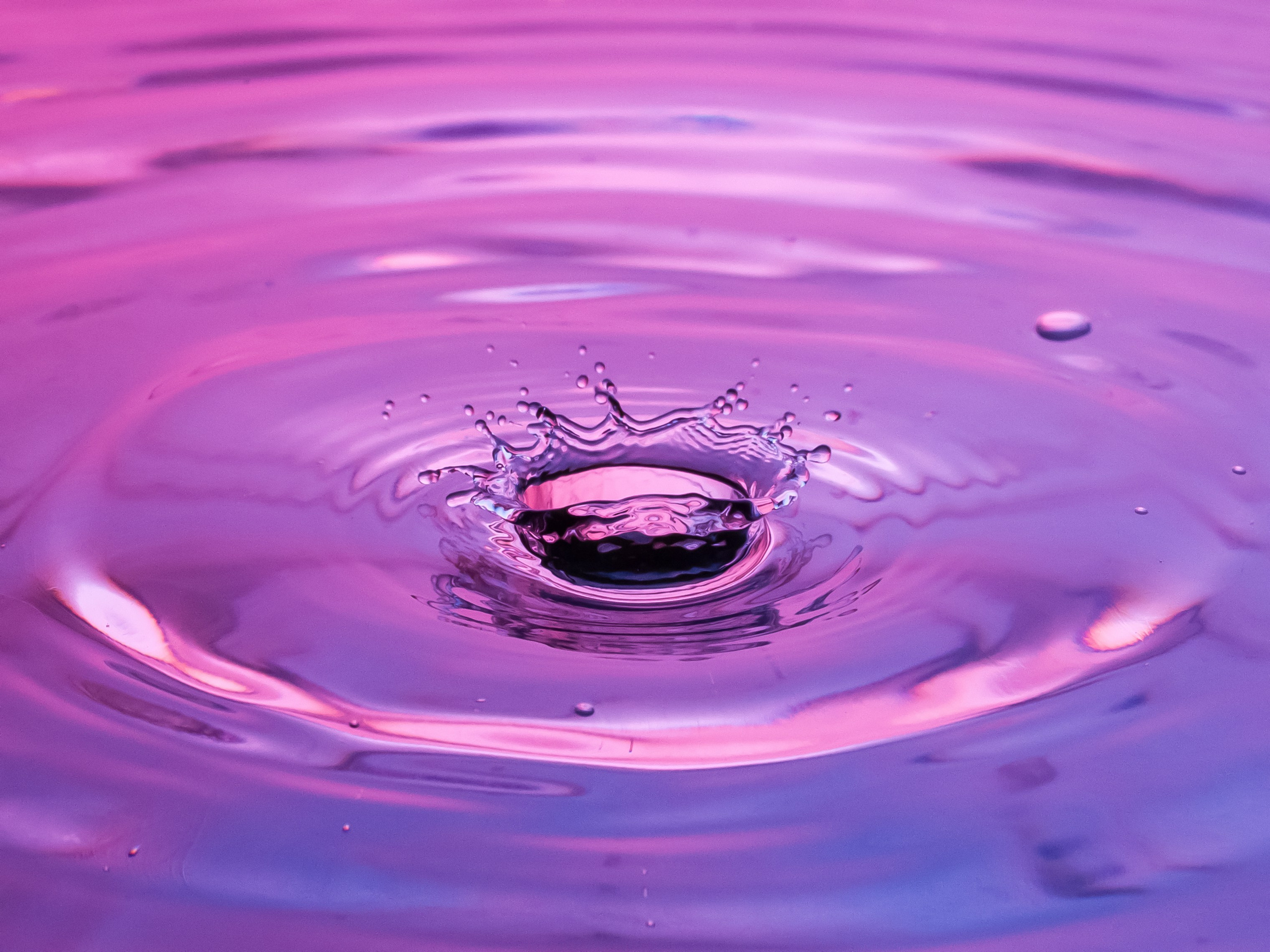 Капли. Фотограф Мария Кольцова