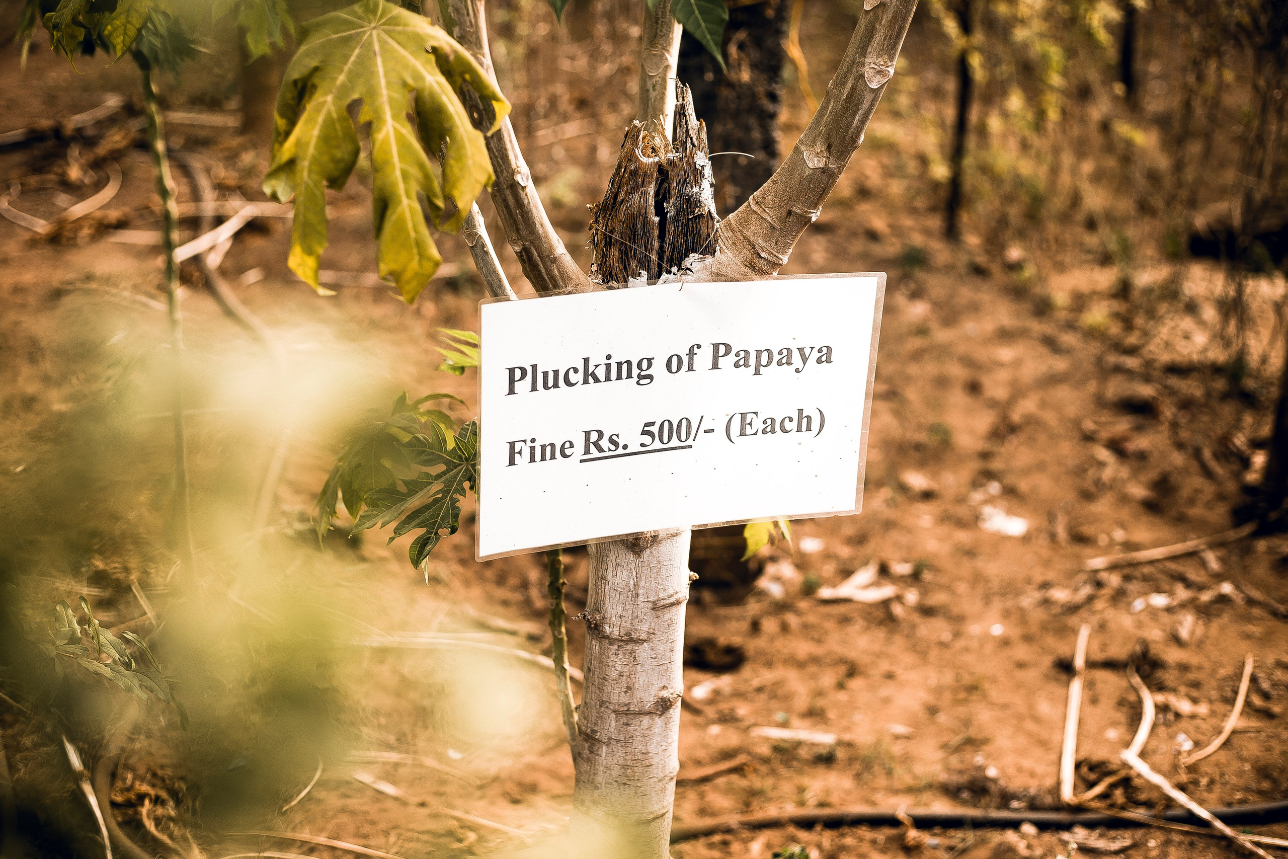 Andaman Island, part 1. Art Photographer