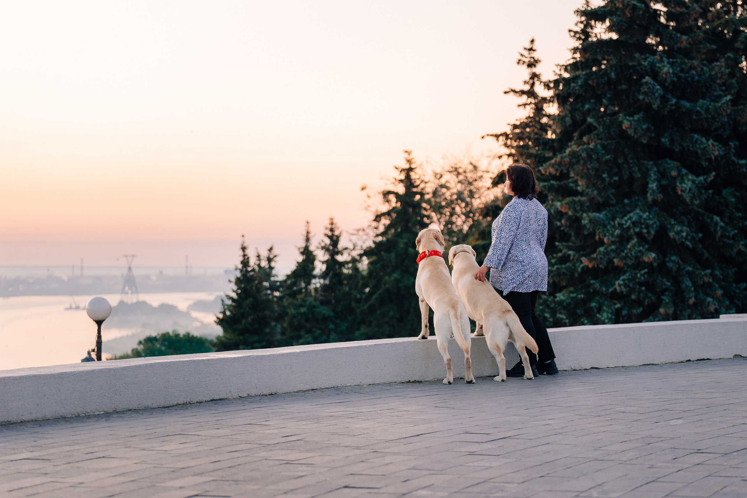 Екатерина, Урал и Бест. Фотограф-анималист Анастасия Парфенова|Екатеринбург